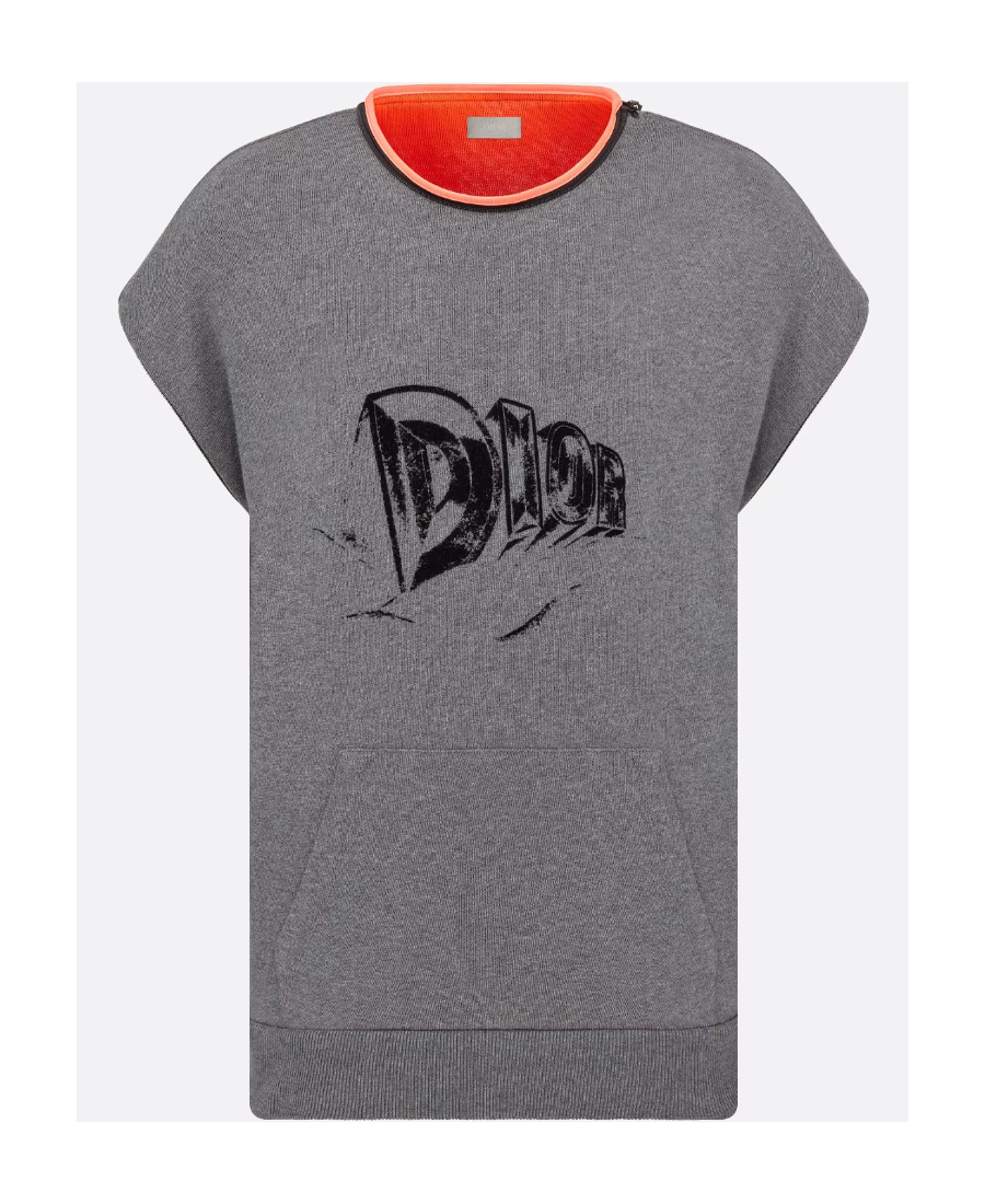 Dior Hooded Hoodie With Large Profile In Gray