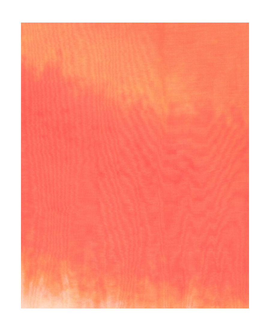 Alexander Mcqueen Logo Gradient-effect Scarf In Pink