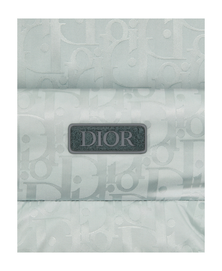 Dior Sleeveless Zipper Down Jacket In Gray