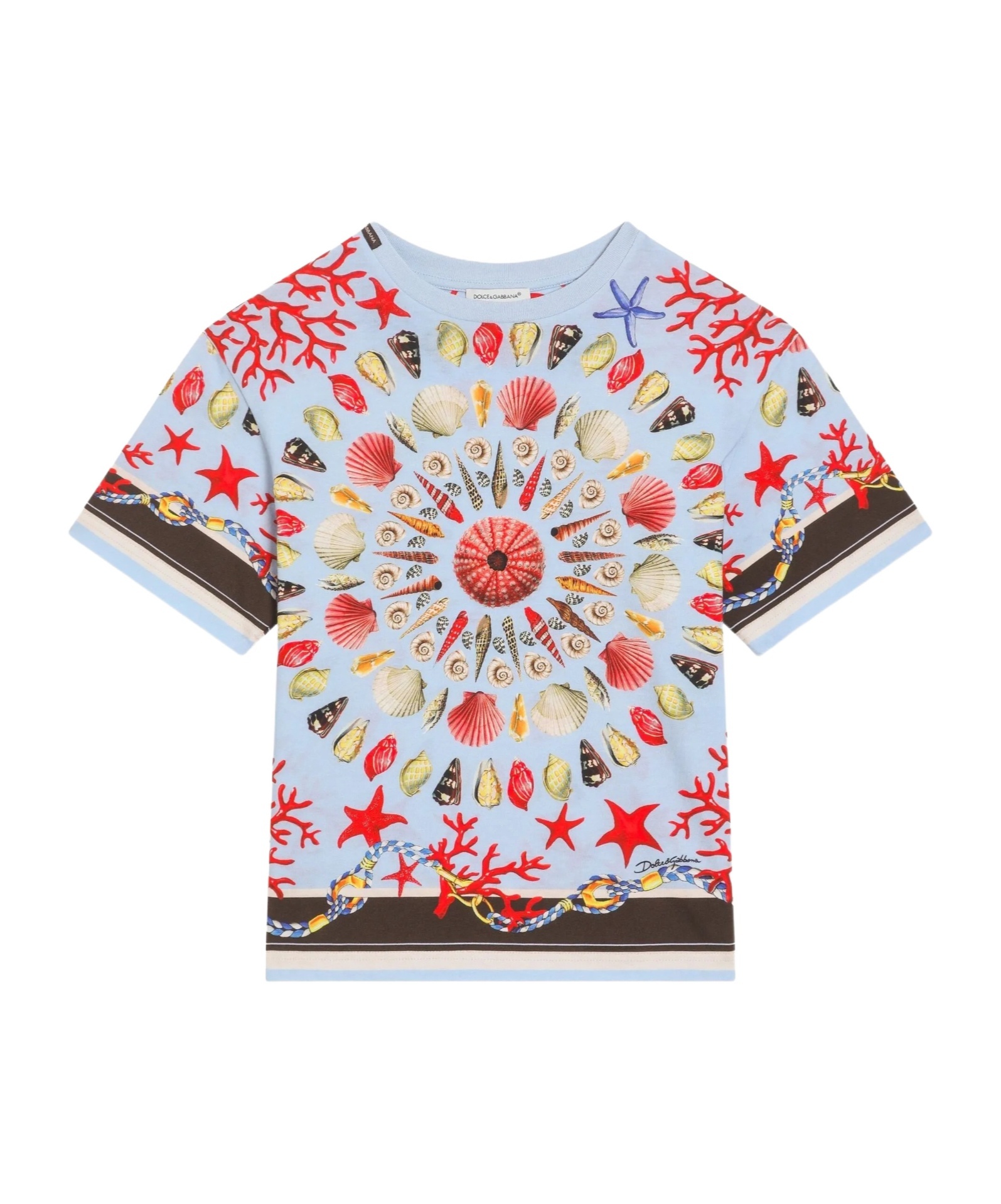 Dolce & Gabbana Shell-print T-shirt In Multi