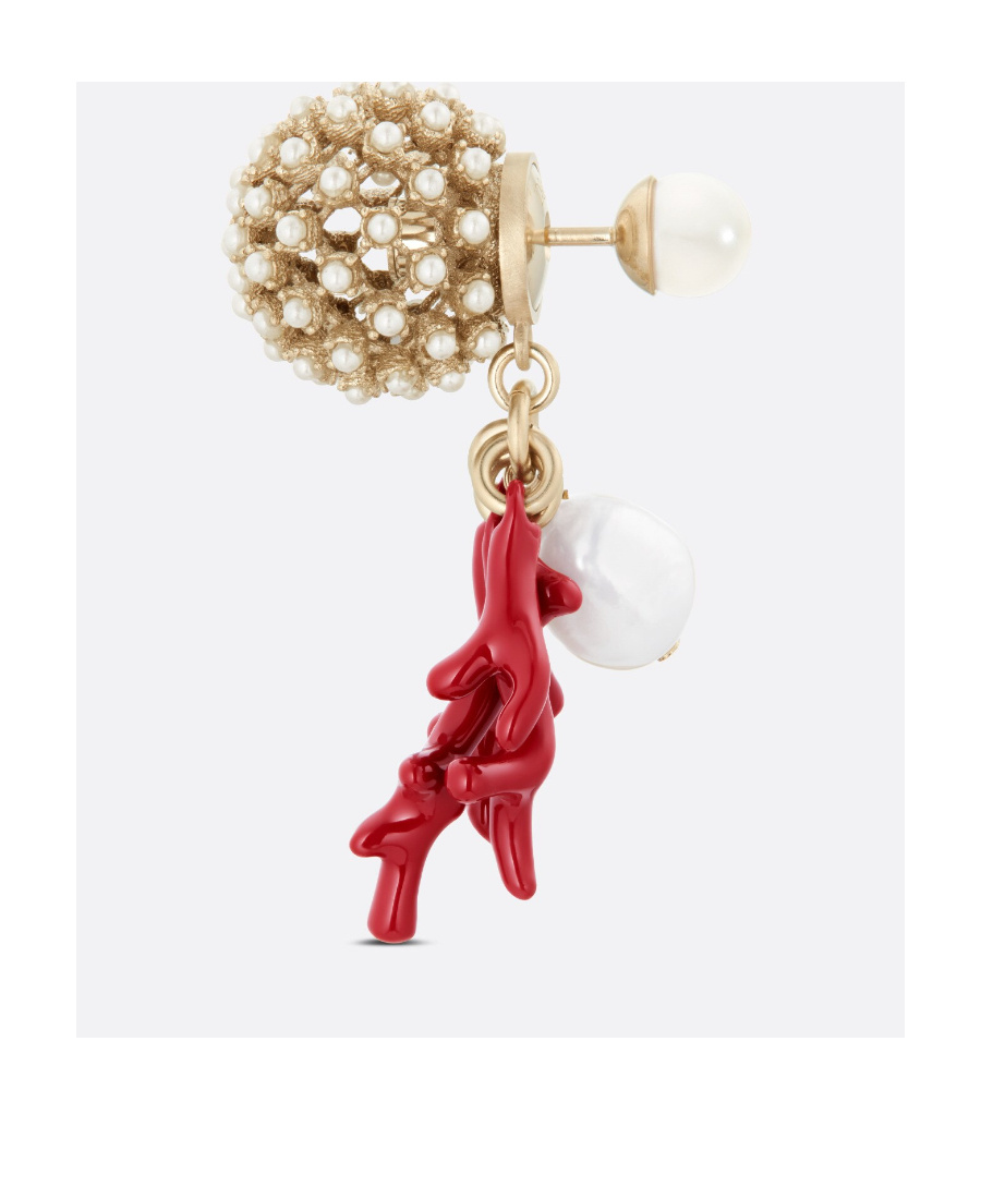 Dior Tribales Earring In Multicolor
