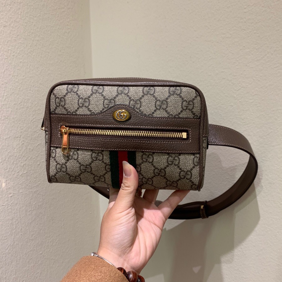 Shop Gucci Ophidia Gg Supreme Small Belt Bag Bag In Brown