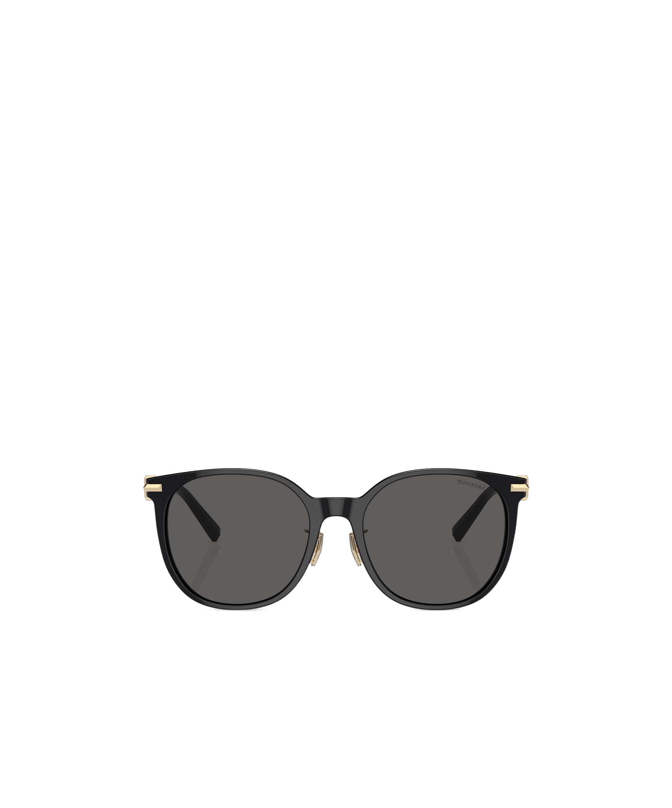 Tiffany & Co Full Frame Sunglasses In Black