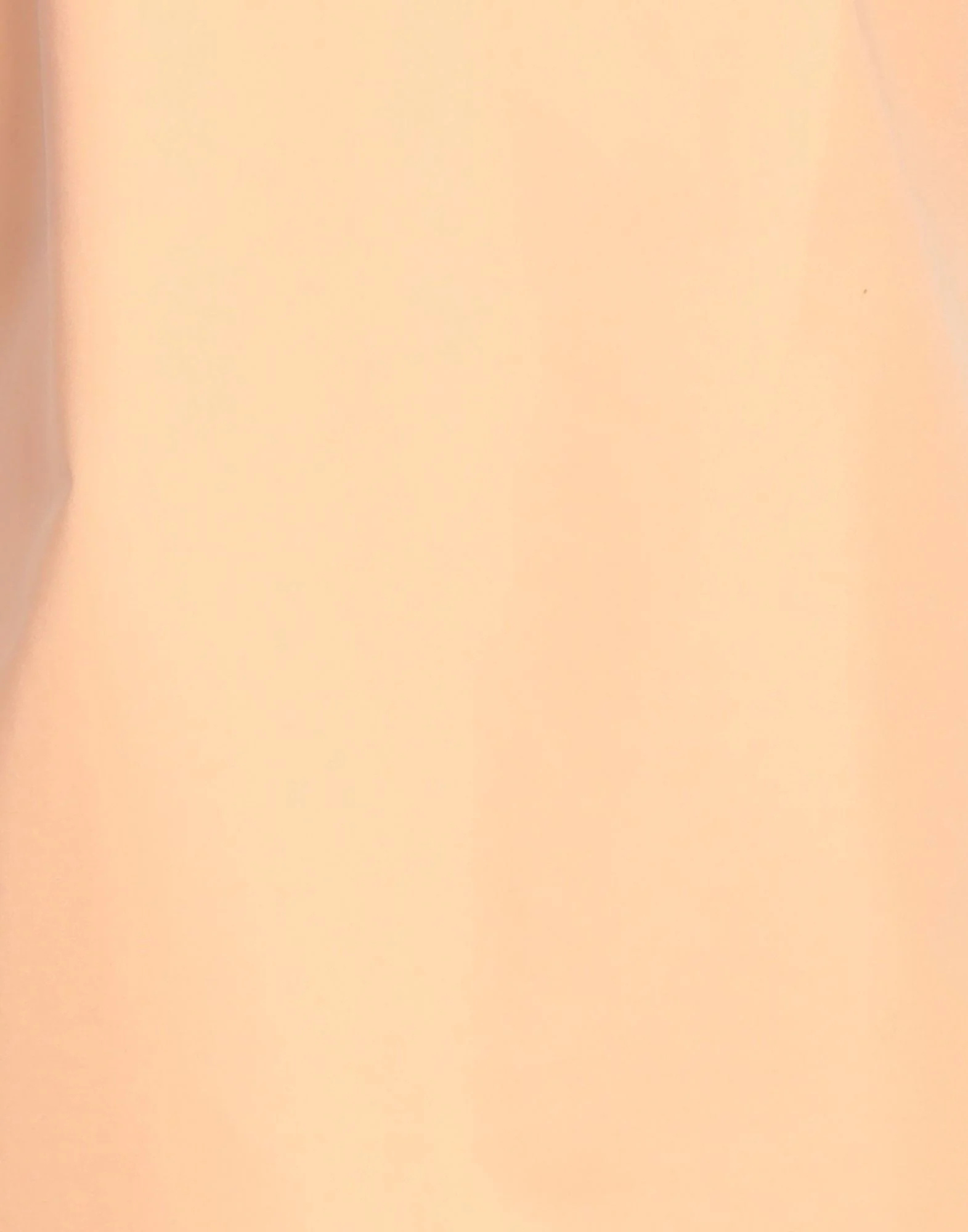 Max Mara Solid-colored Camisole In Nude