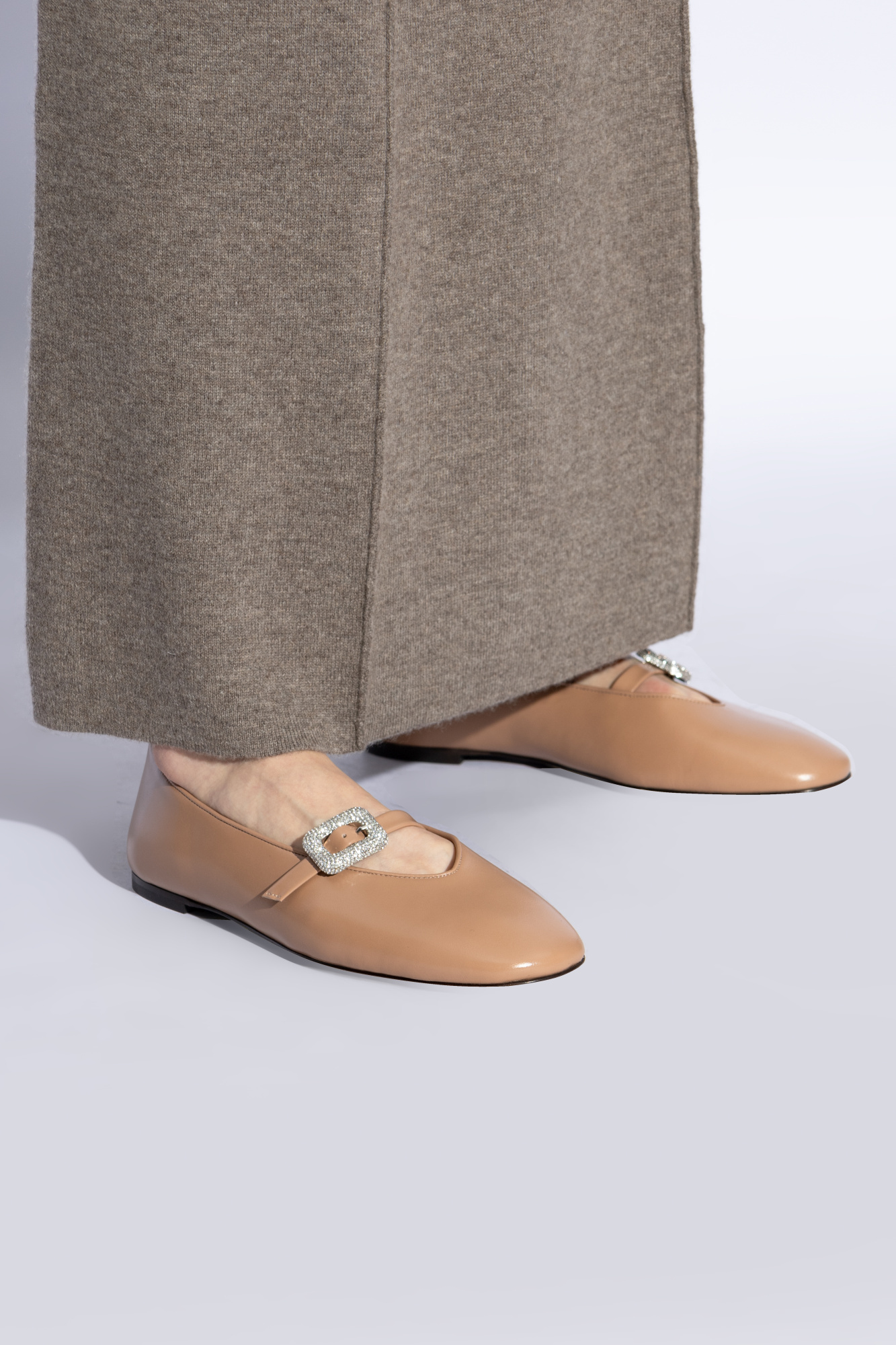 Giuseppe Zanotti Georgia Ballet Flats In Brown