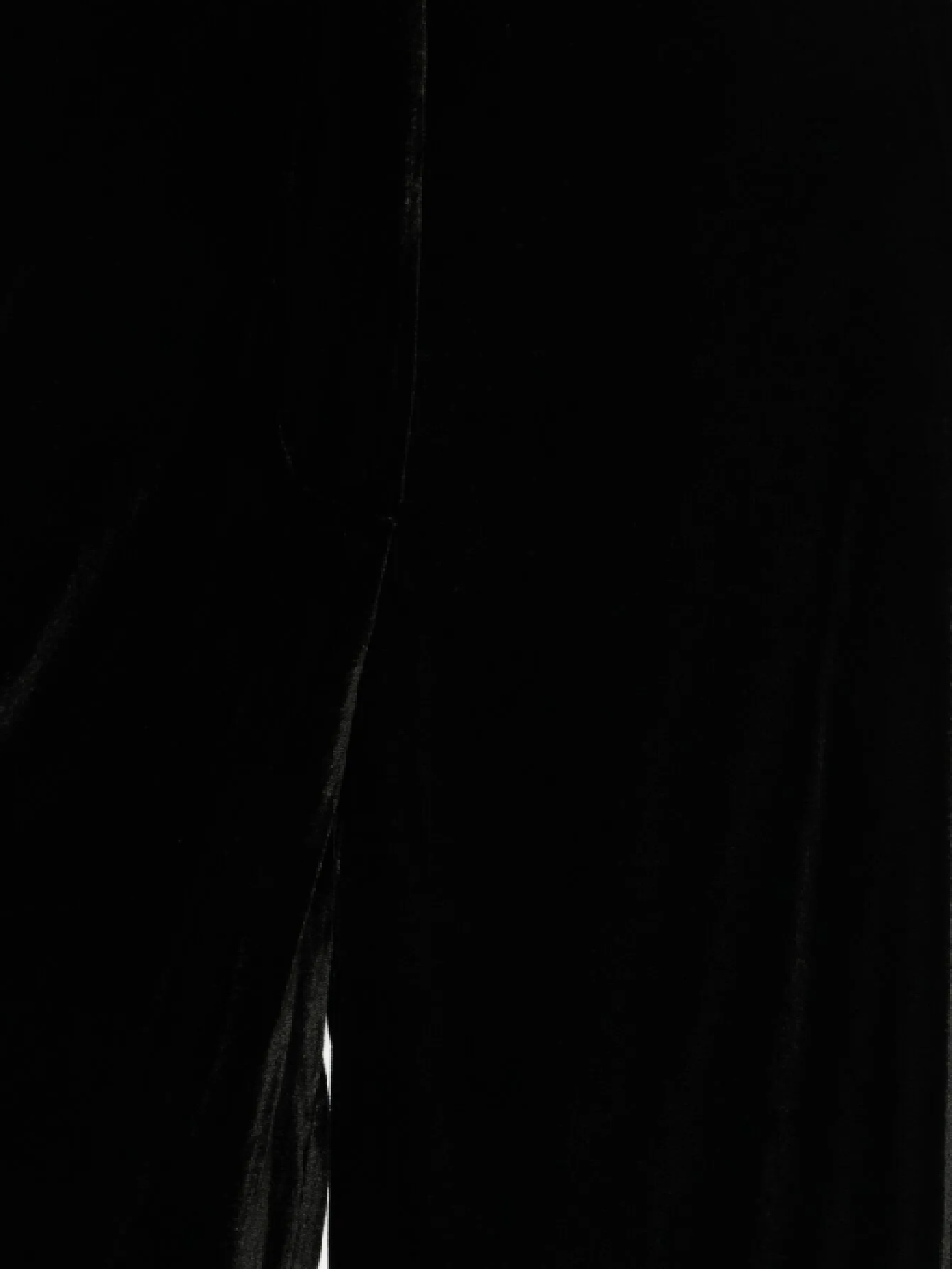 Raquel Diniz Wide-leg Velvet Trousers In Black