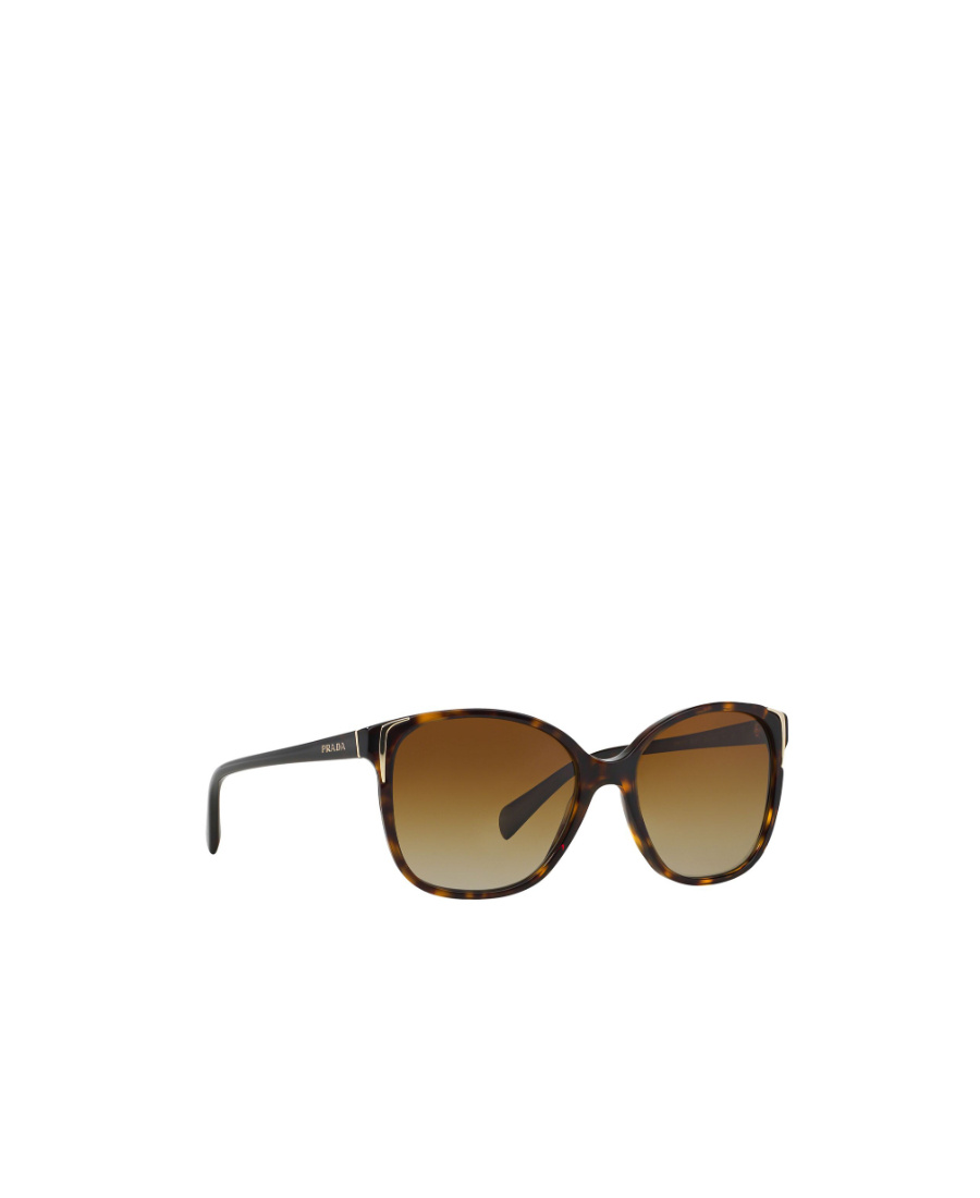 Prada Logo Sunglasses In Brown