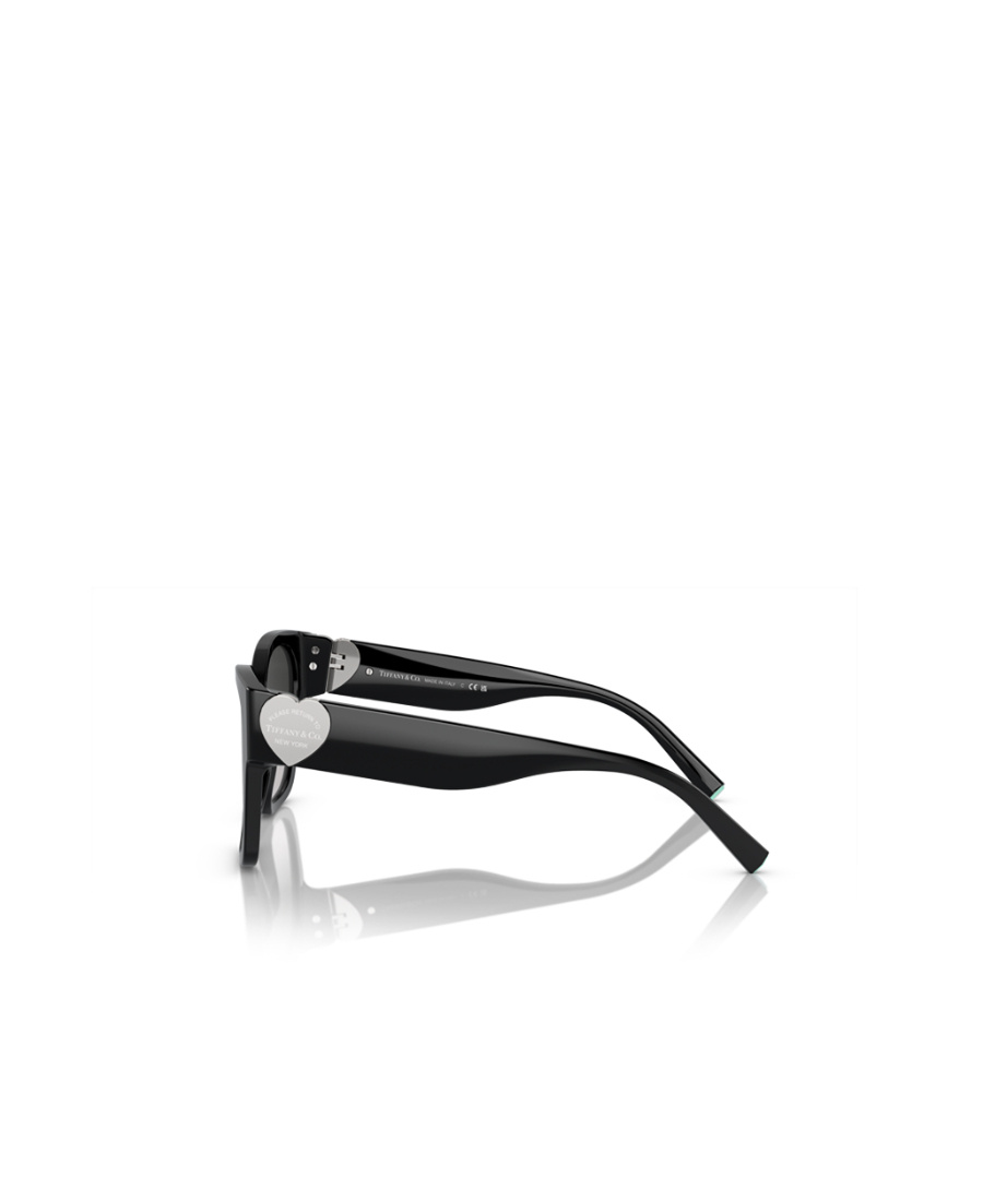 Tiffany & Co 0tf4216 80013c Square Sunglasses In Black