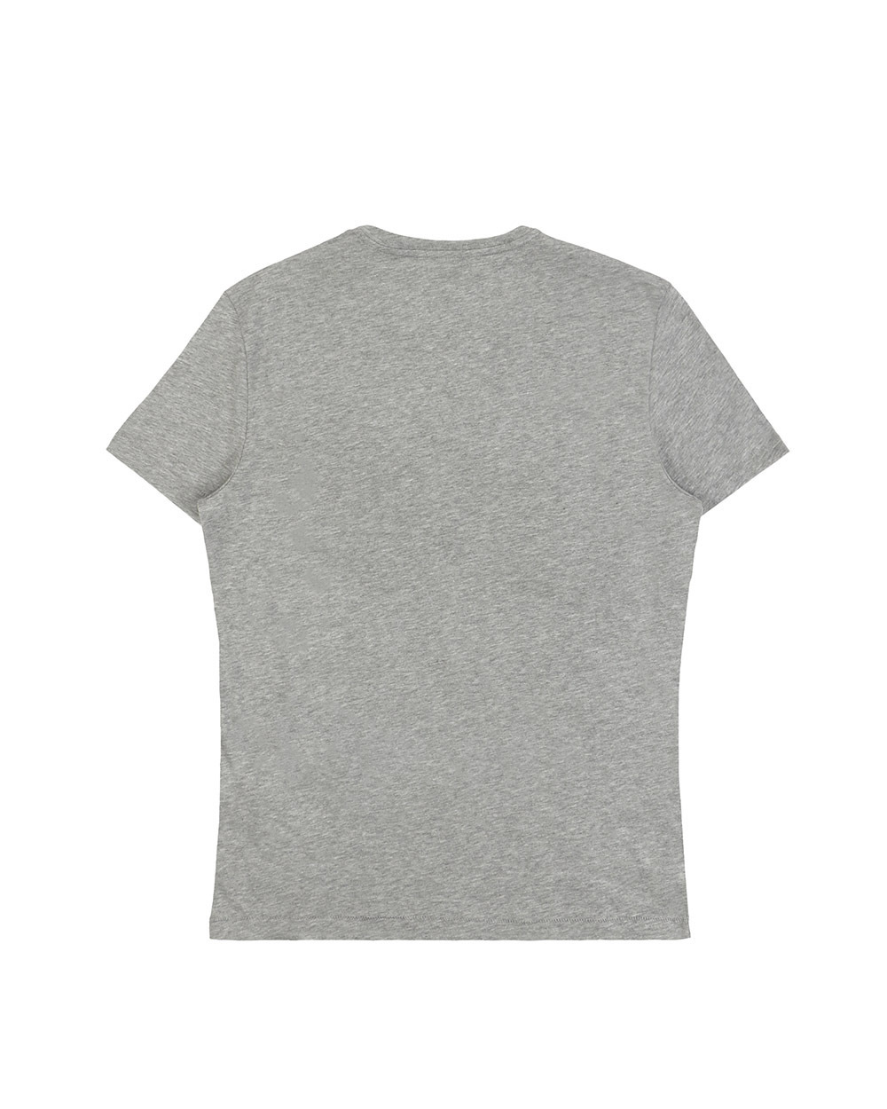 Iceberg Printed T-shirt In Gray