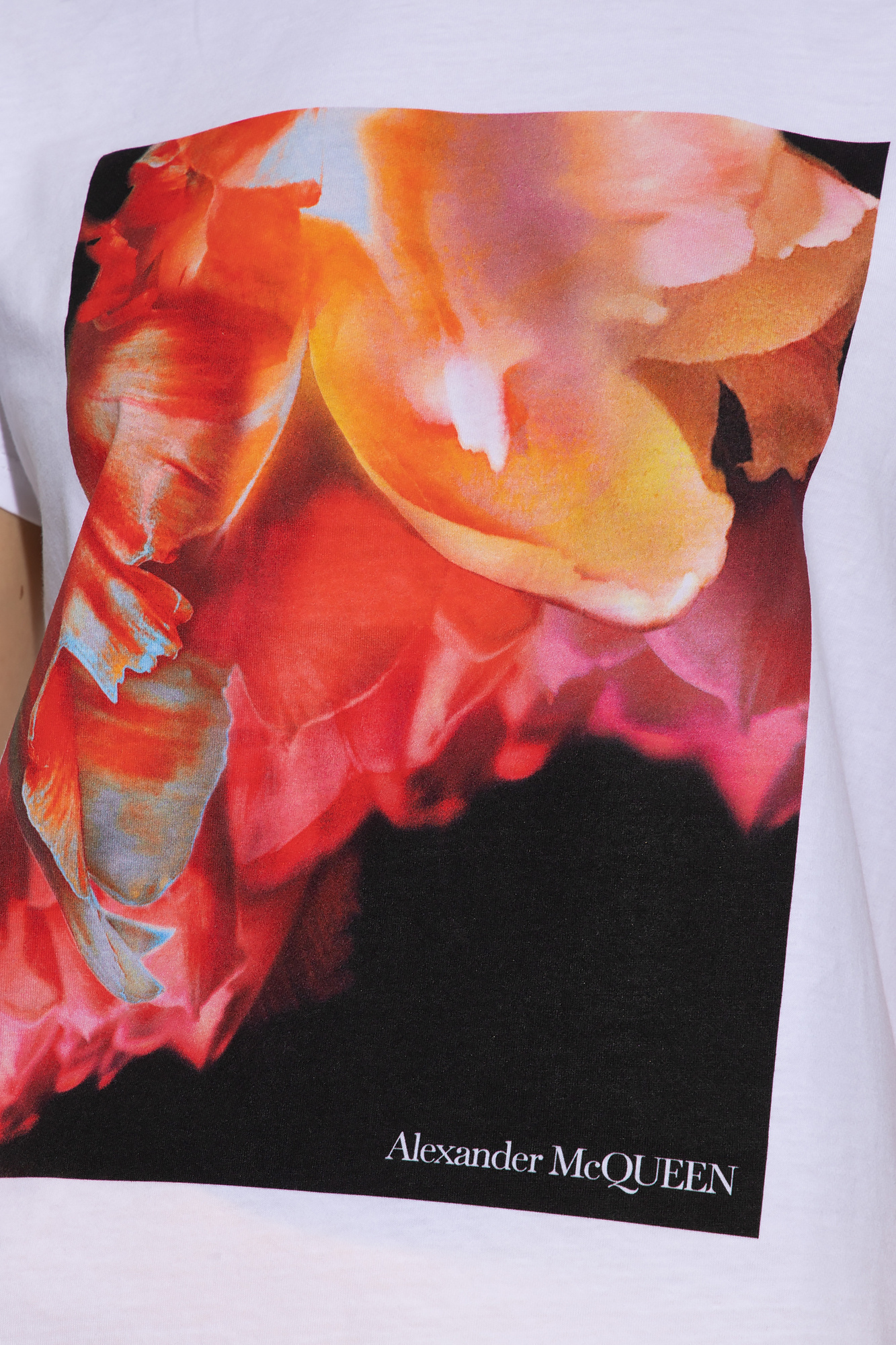 Alexander Mcqueen Print Cotton T-shirt In White