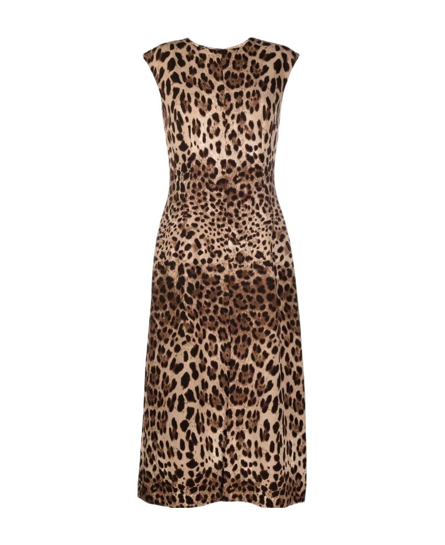 Dolce & Gabbana Leopard-print Wool-crepe Midi Dress In Brown