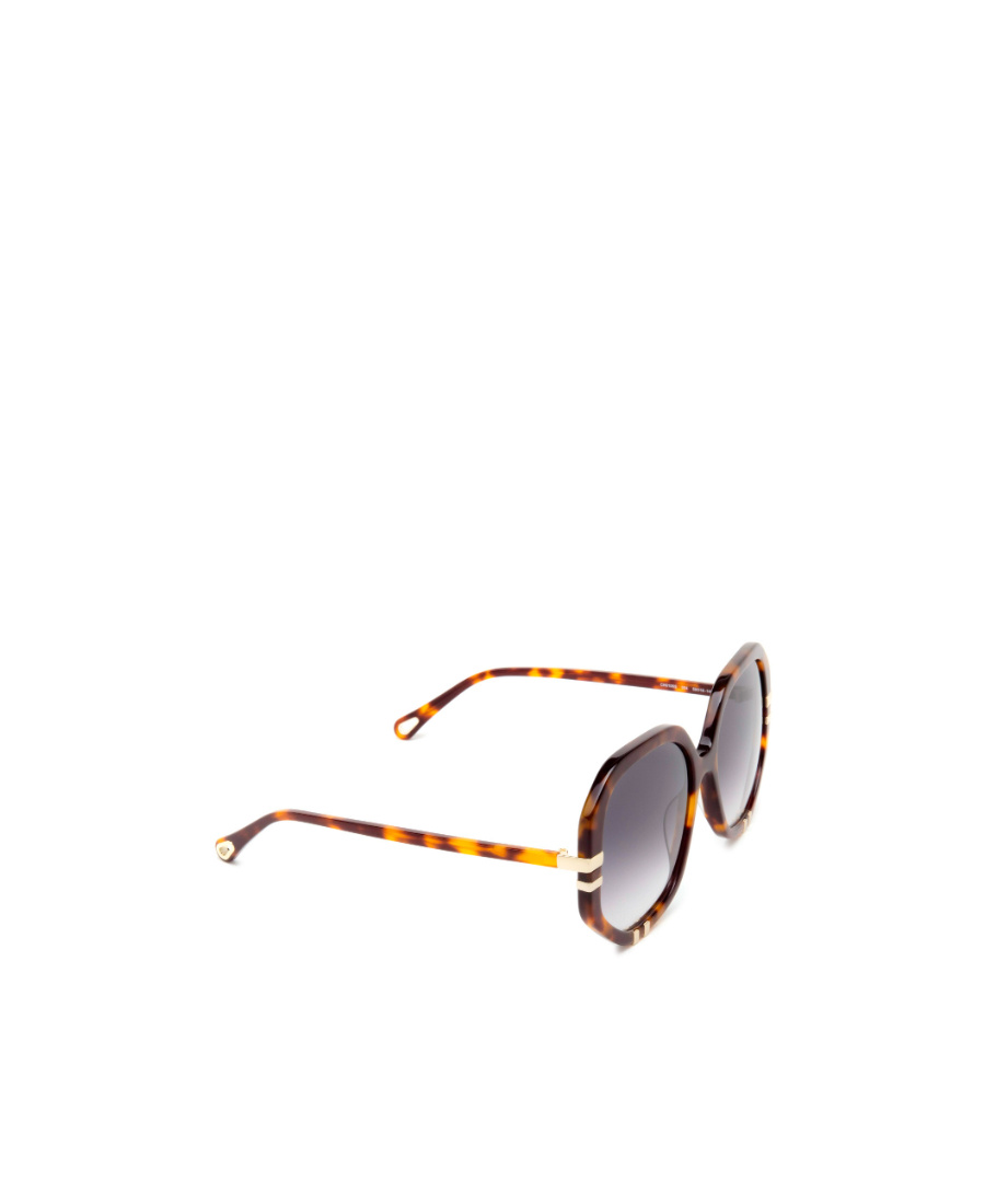 Chloé Womens Ch0105s Hexagonal-frame Acetate Sunglasses Brown In Gray