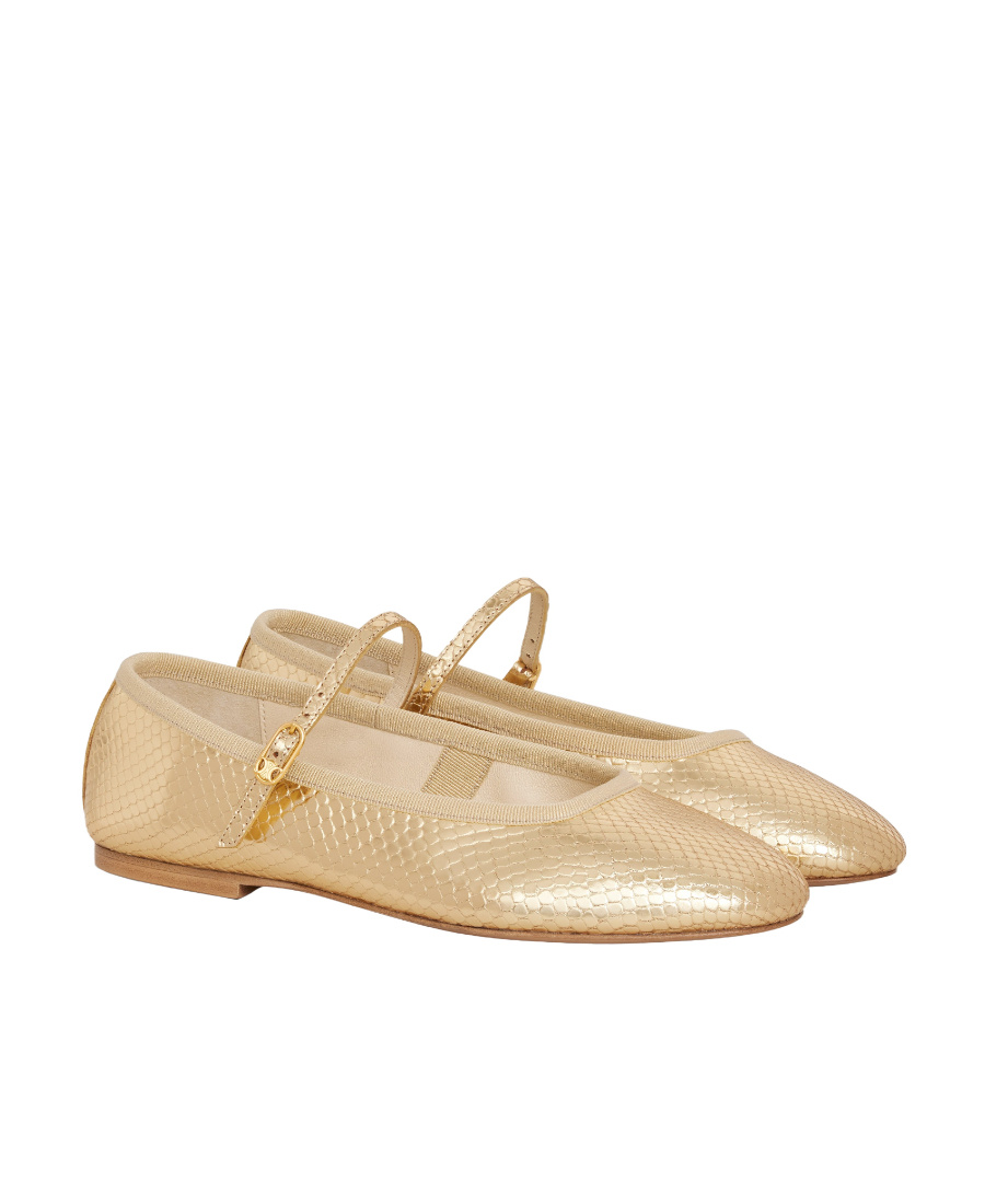 Celine Les Ballerines Ballet Shoes In Nude