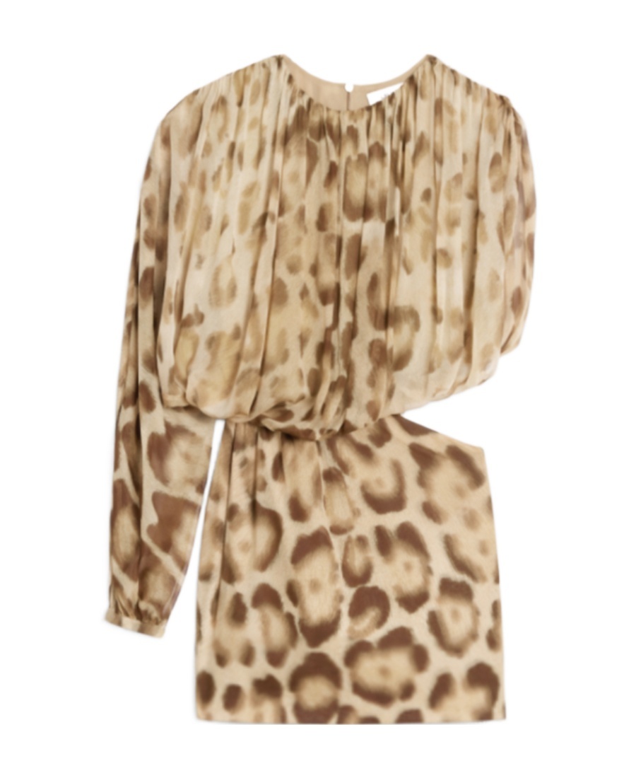 Celine A Dress With Draped Sleeves In Nude