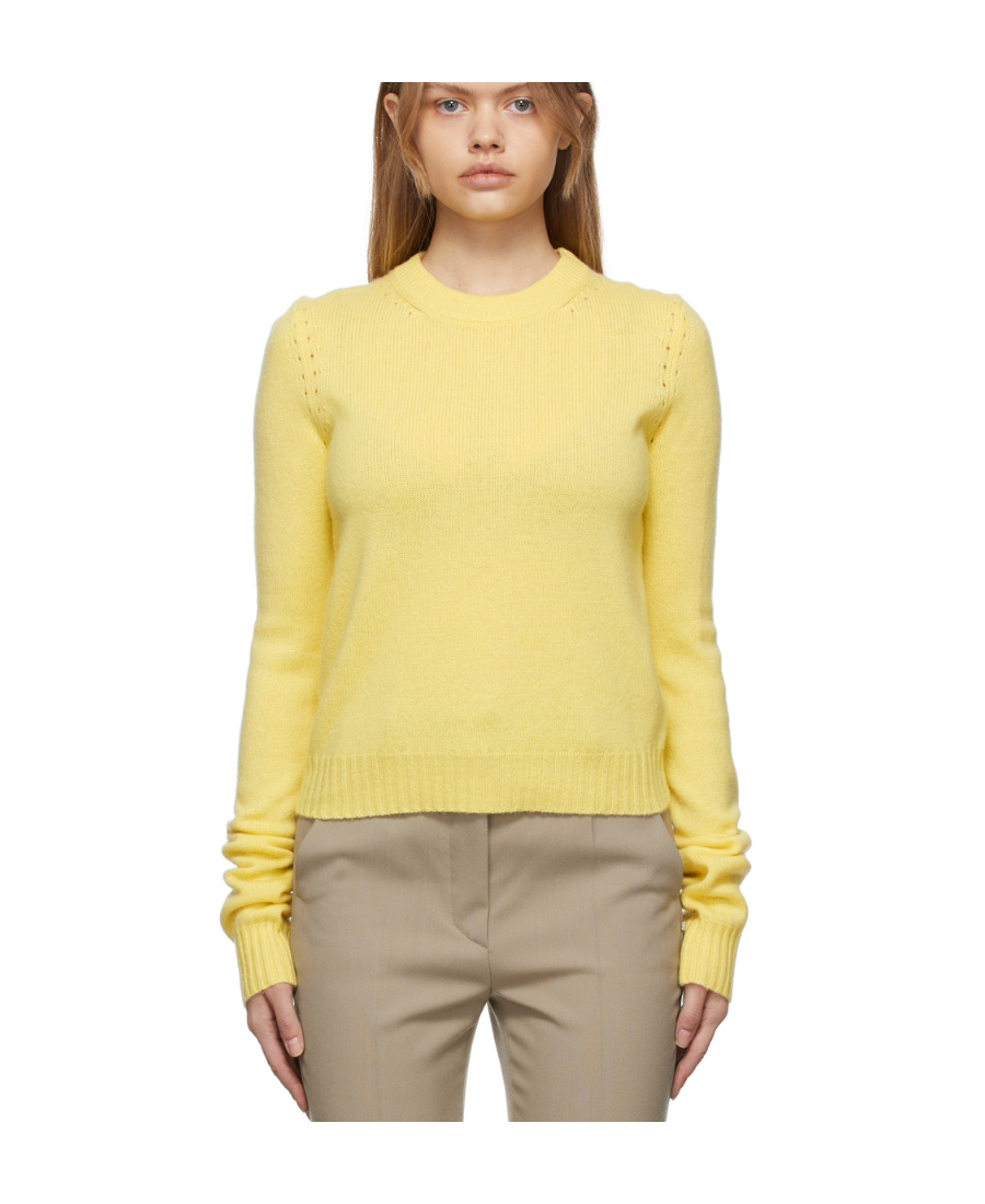 Sportmax Logo Round-neck Knit Pullover In Yellow