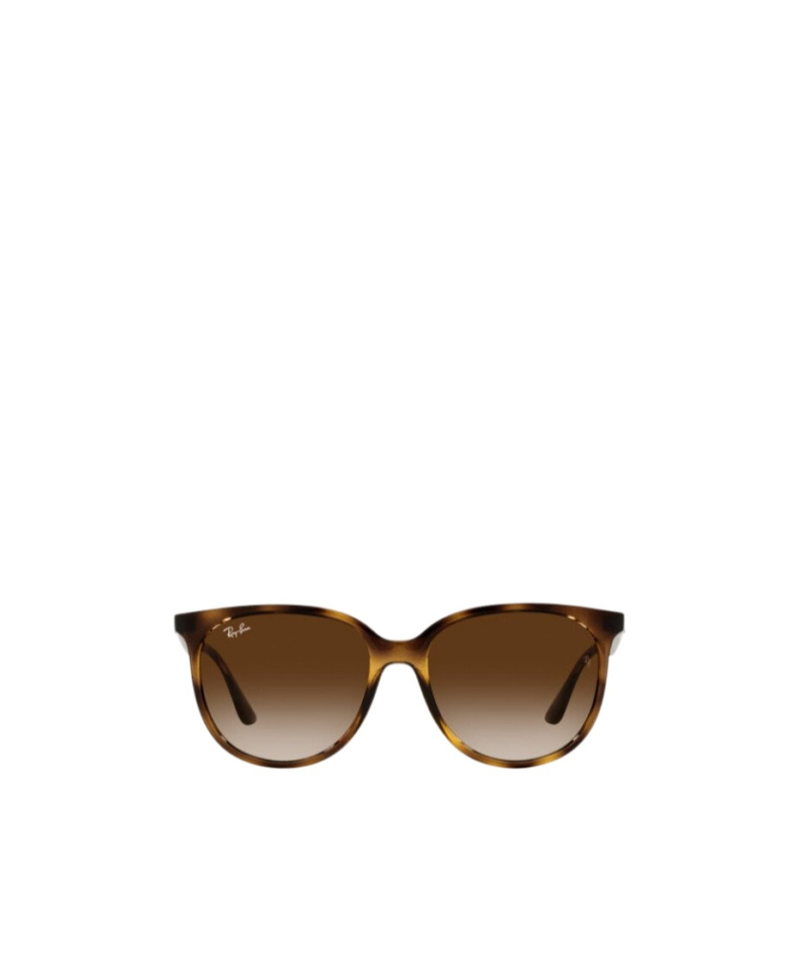 Ray Ban Emblem Daidai Pattern Sunglasses In Brown