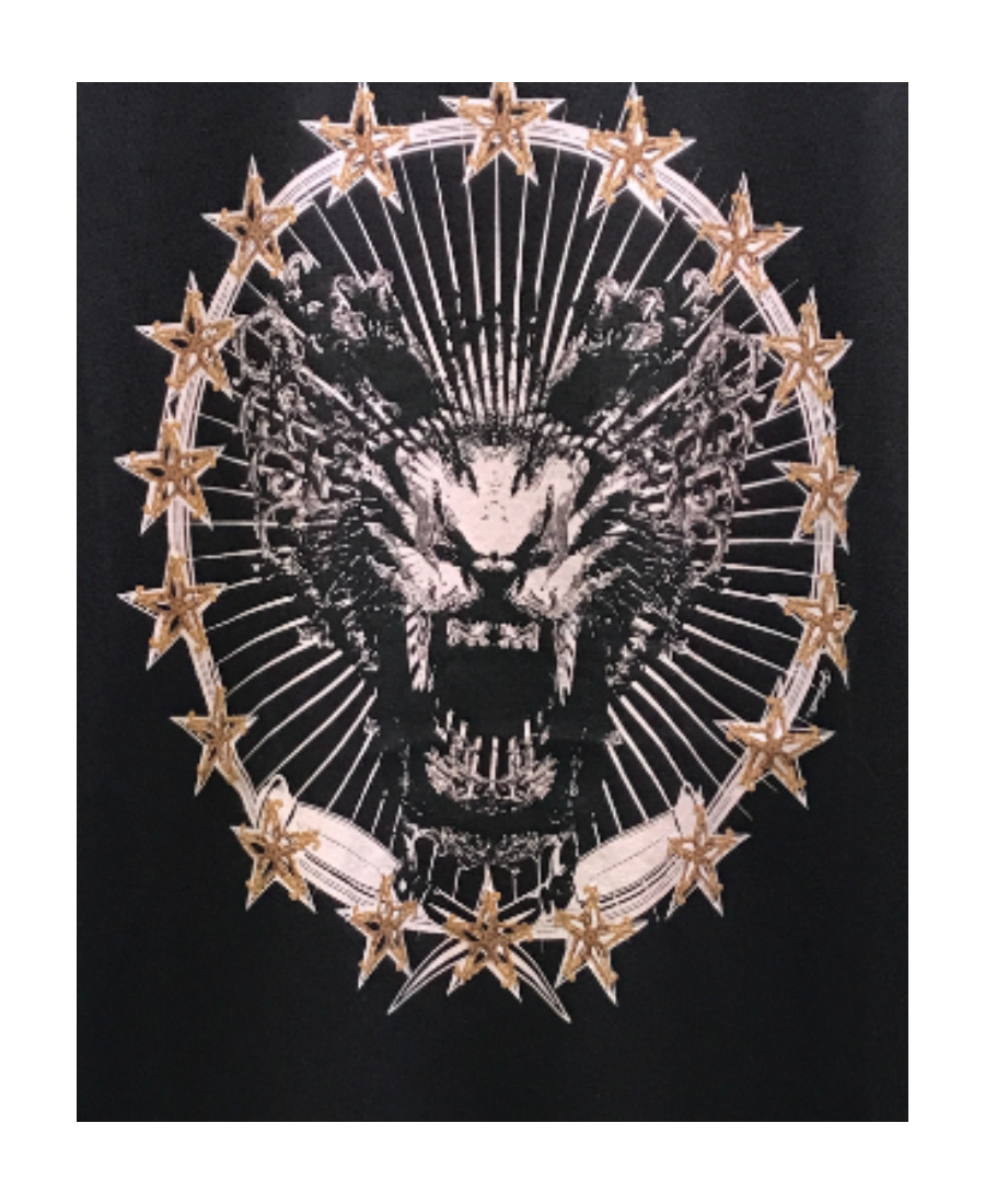 Just Cavalli Printed Round-necked T-shirt In Black