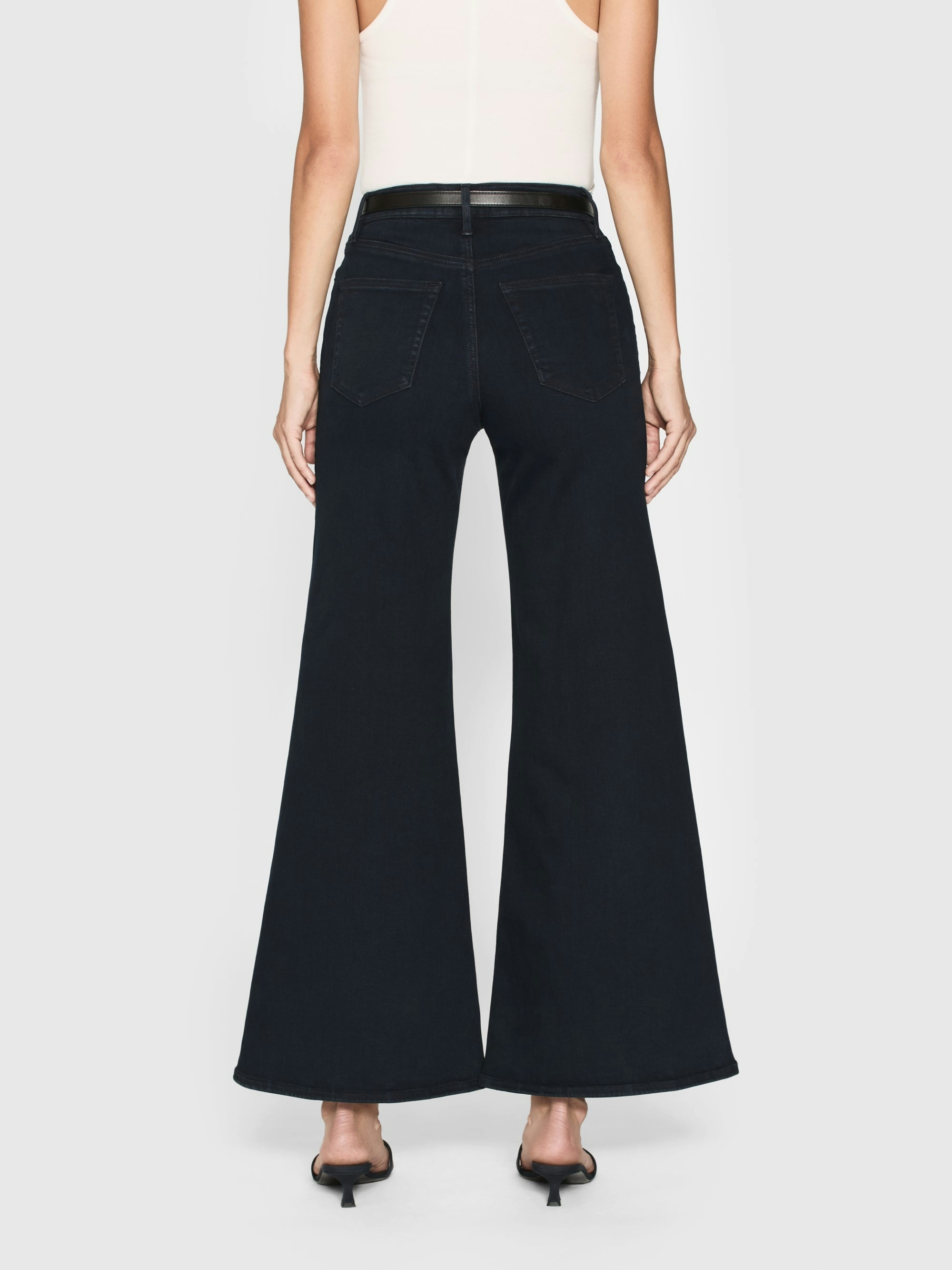 Frame Le Palazzo Crop Wide Leg Jeans