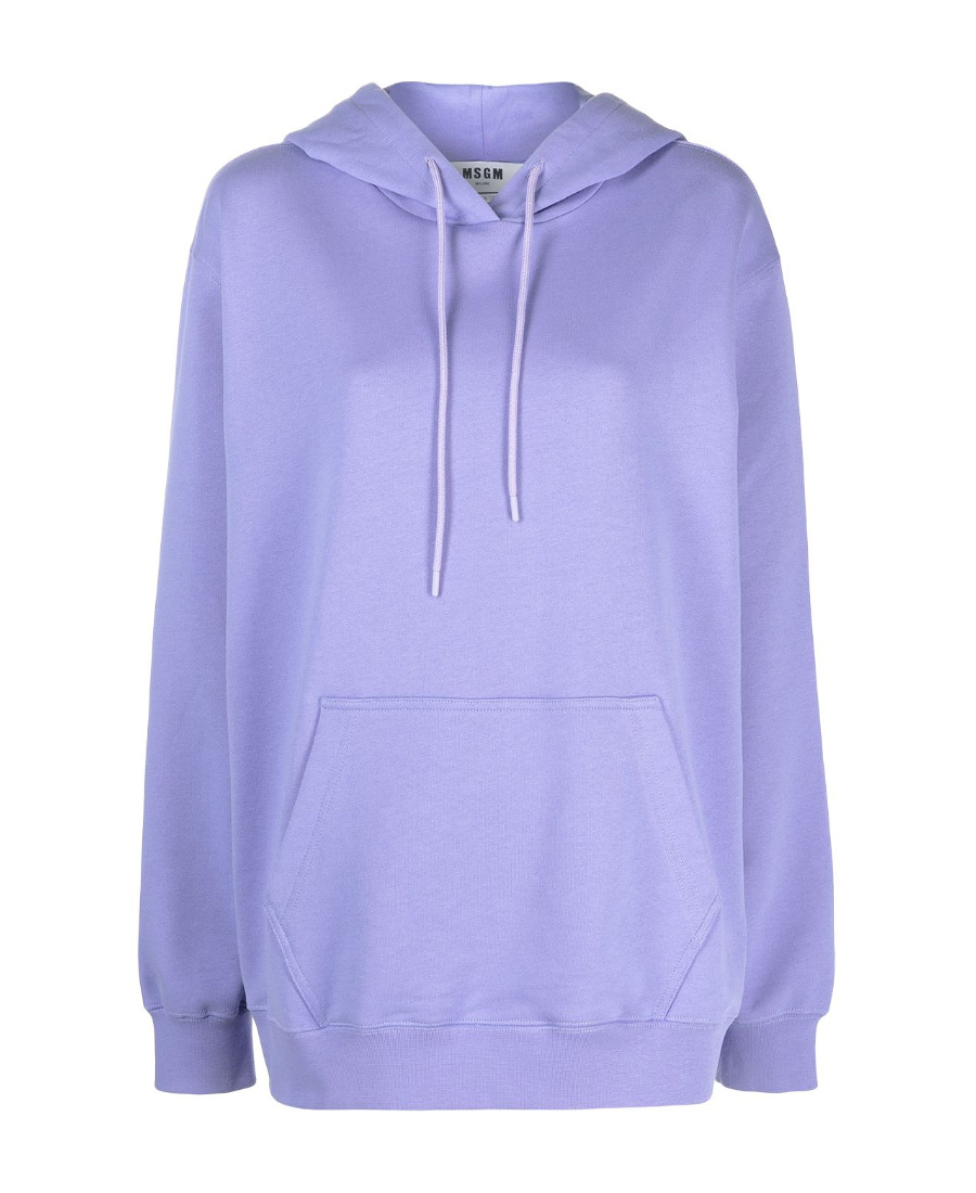 Msgm Logo Hooded Sweater In Blue