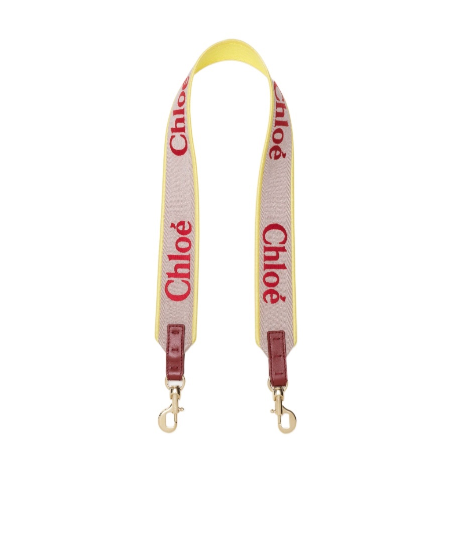 Chloé Luggage Accessories In Nude