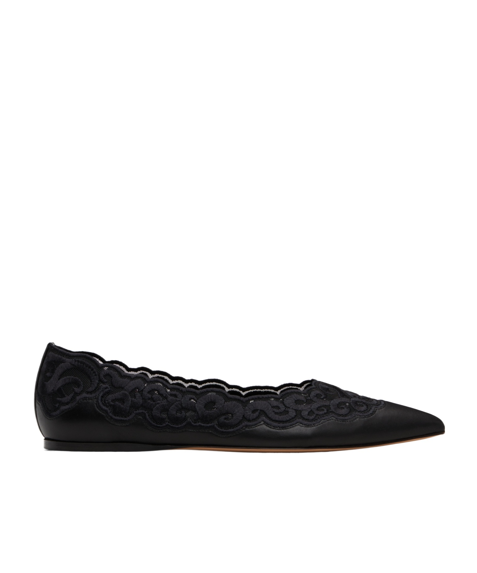 Gabriela Hearst Ziva Leather And Embroidered Tulle Point-toe Flats In Black