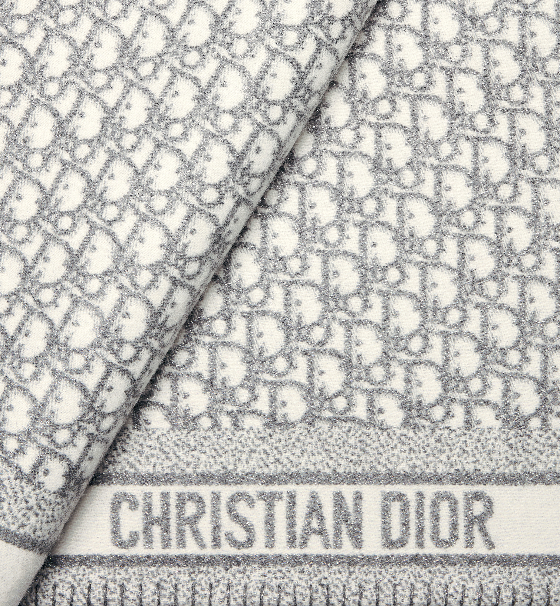 Dior Printed Carpet In Gray
