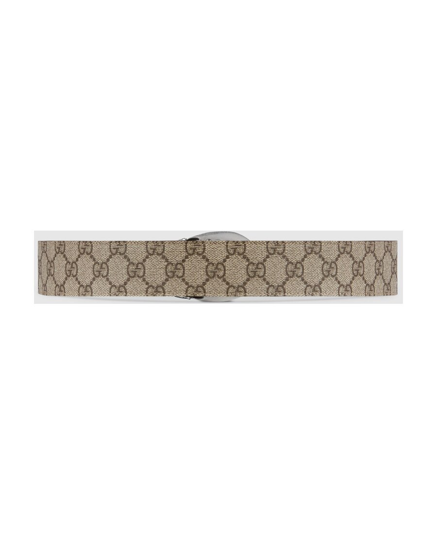 Gucci Logo Belt In Brown