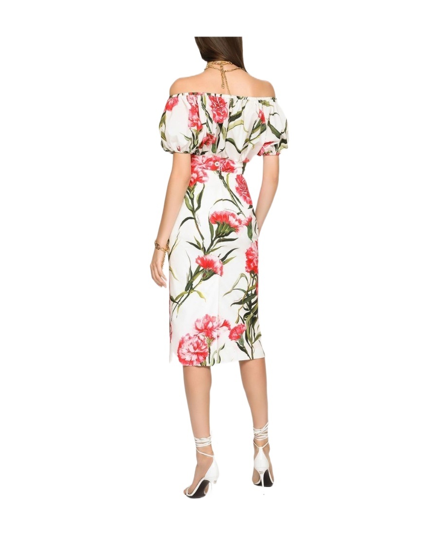 Dolce & Gabbana Floral-print Pencil Skirt In White
