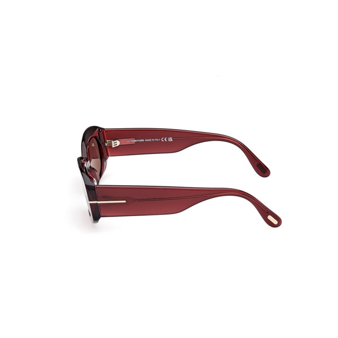 Tom Ford Full Frame Sunglasses In Brown