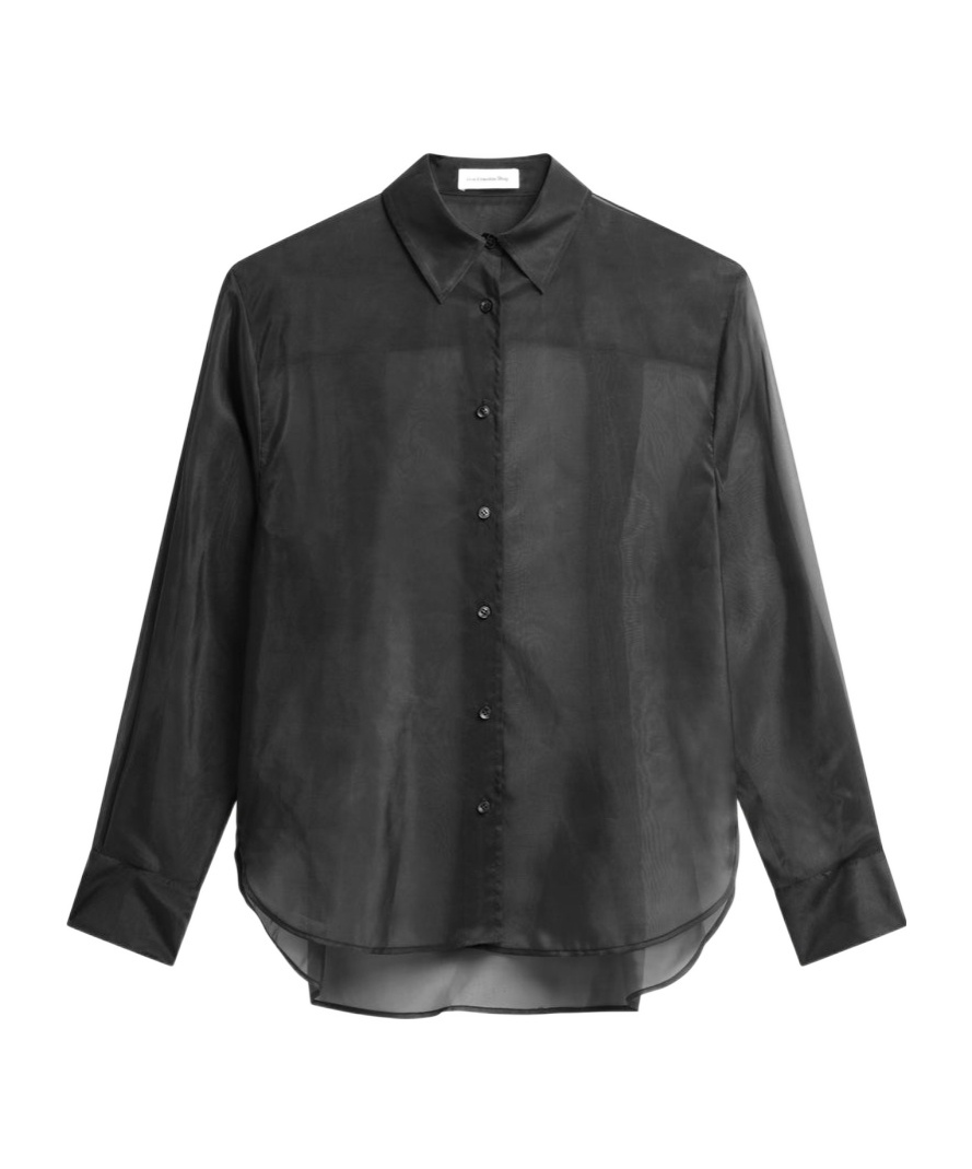 The Frankie Shop Peri Sheer Shirt