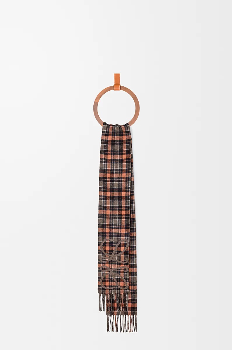 Loewe Tassel Scarf In Multi