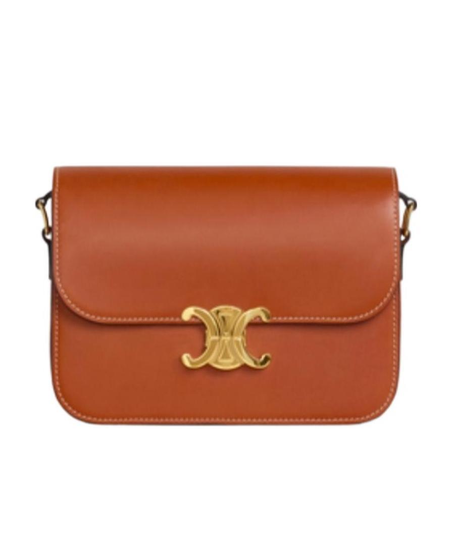 Celine Ten Trimphe Cross-body Bag In Brown