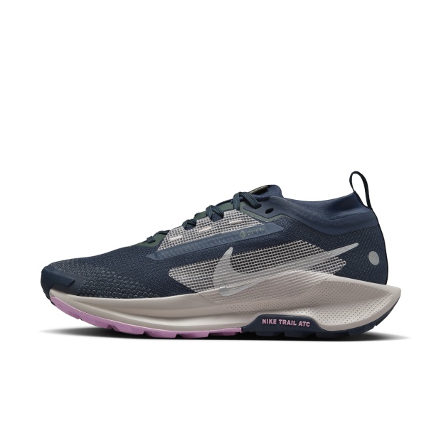 Nike Pegasus Trail 5 Gore-tex Cross-country Running Shoes In Black