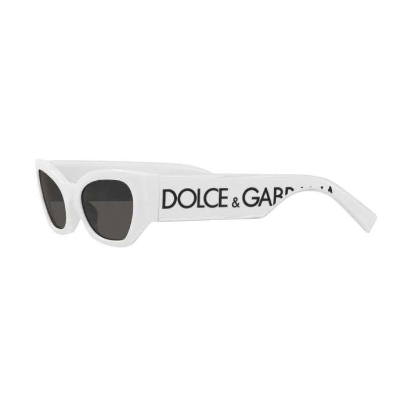 Dolce & Gabbana Cat-eye Frame Sunglasses In Black