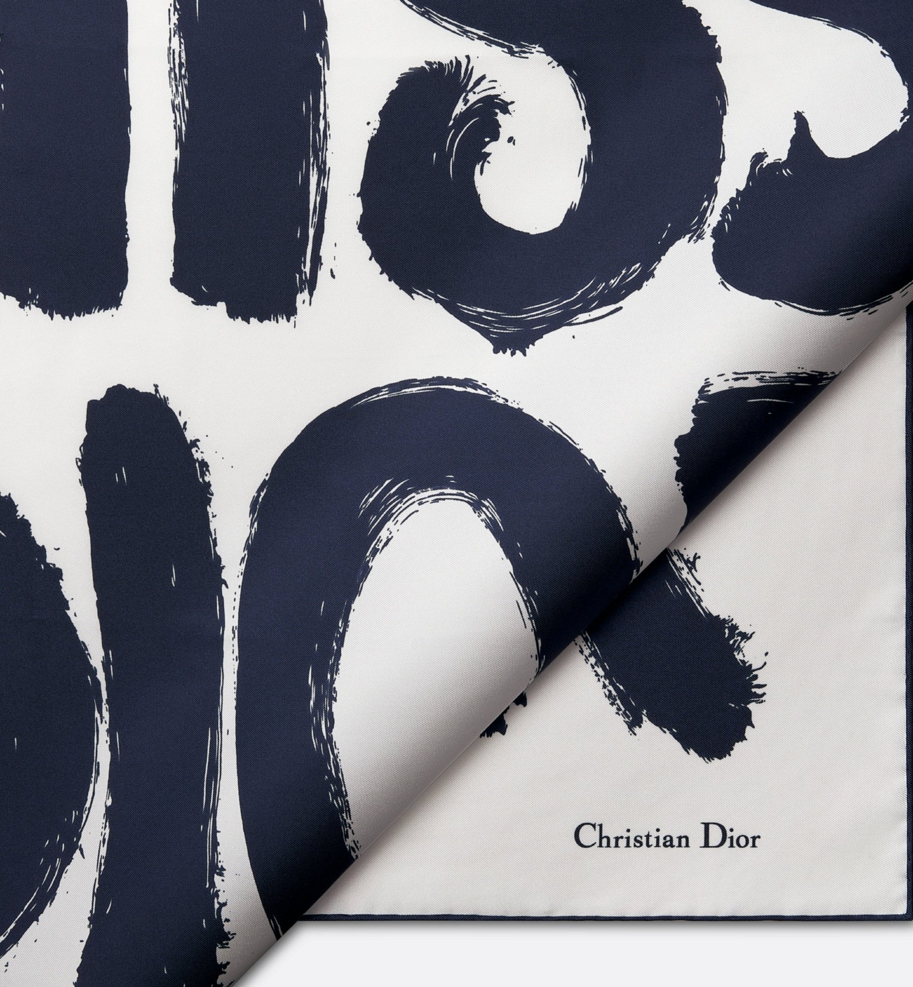 Dior Logo Scarf In White