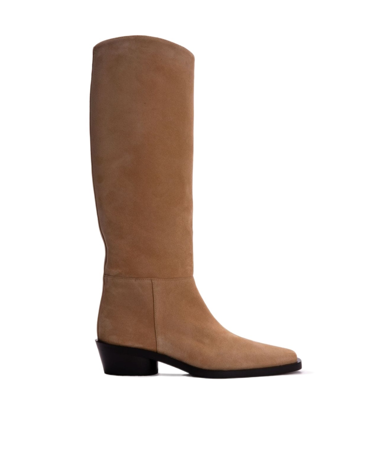 Proenza Schouler Bronco Suede Tall Boots In Brown