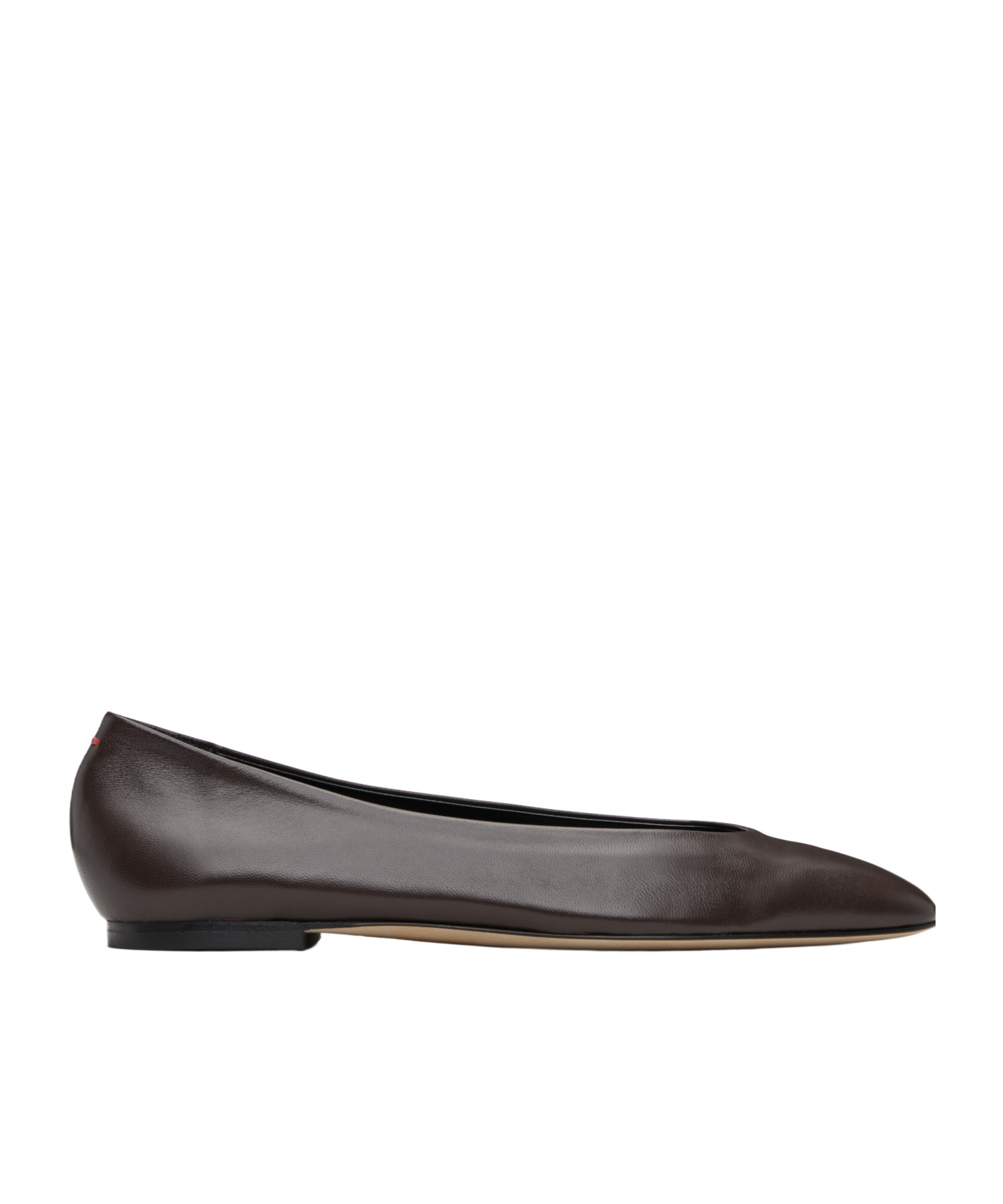 Aeyde Cassy Pointed-toe Ballet Flats In Brown