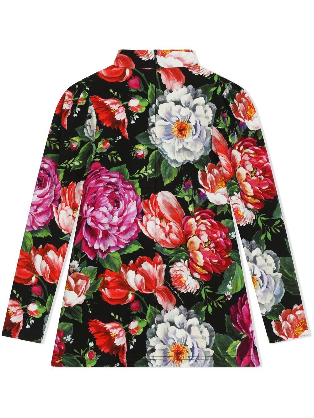 Dolce & Gabbana Floral-print Mock Neck Dress In Multicolor