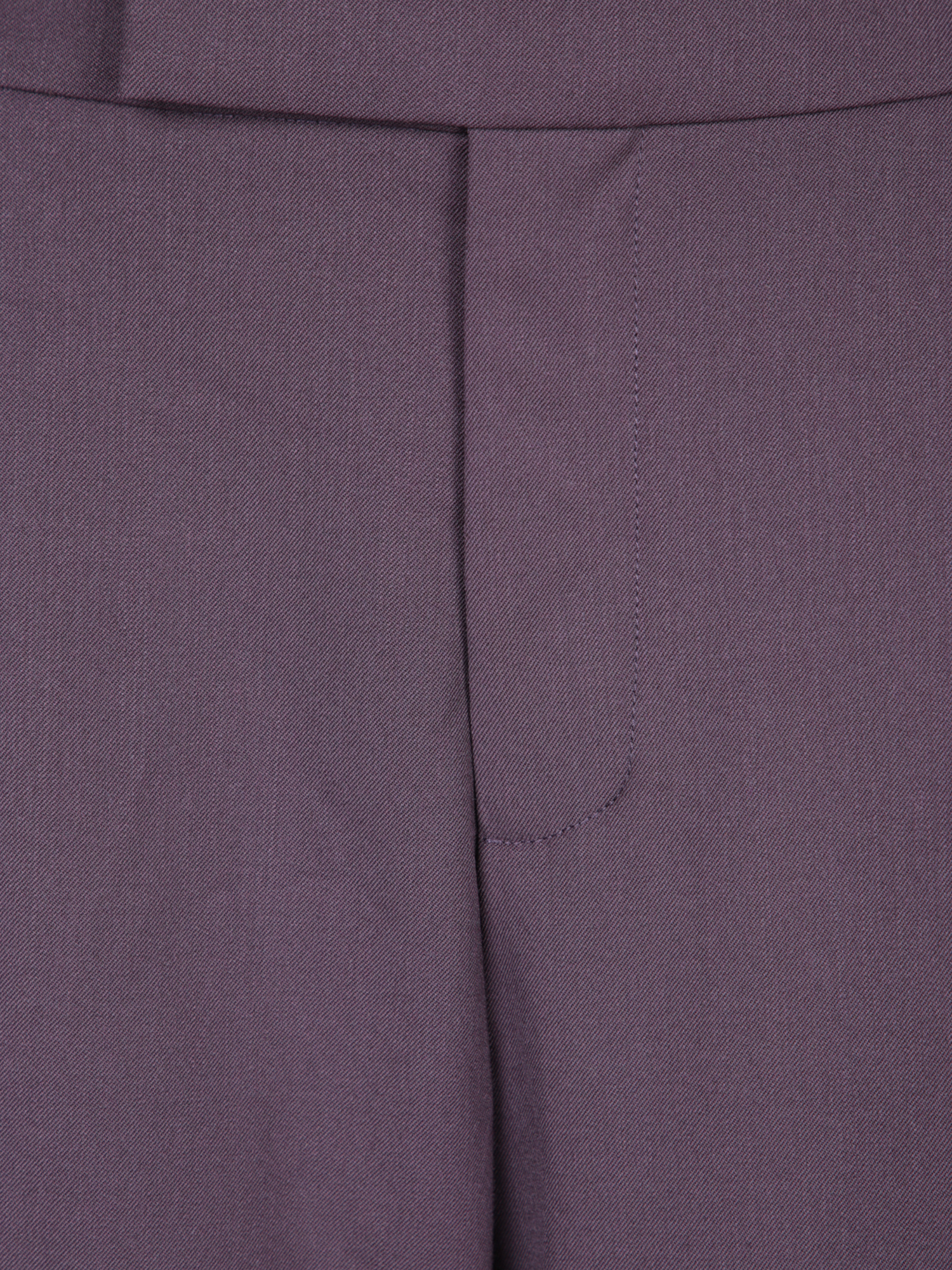 Federica Tosi Belt Loop Trousers In Purple