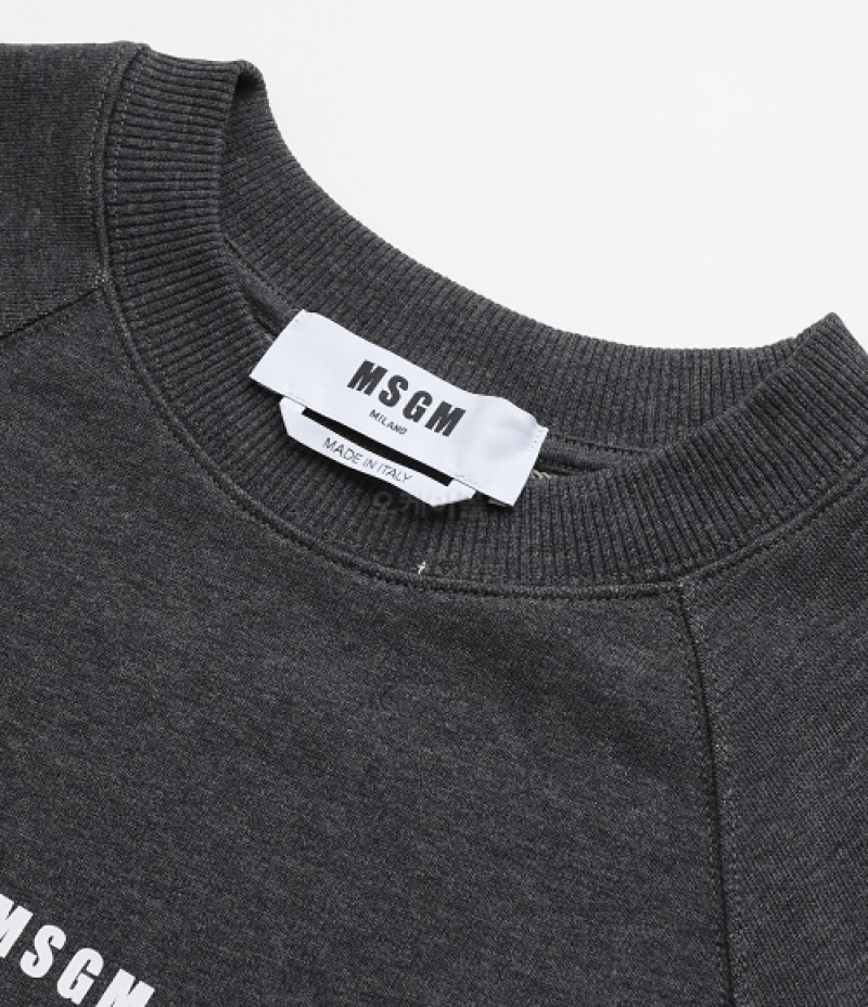 Msgm Cotton Embroidered-logo Sweatshirt In Gray