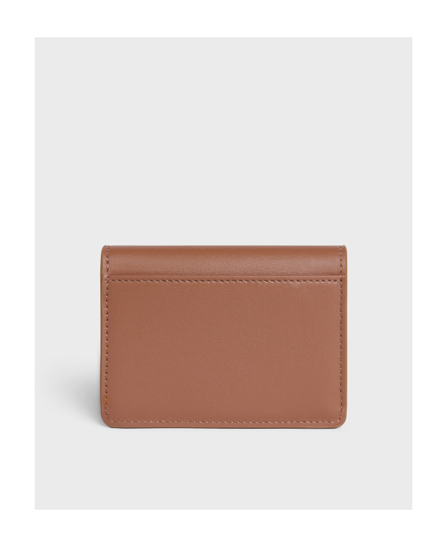 Celine Triomphe Card Bag In Brown