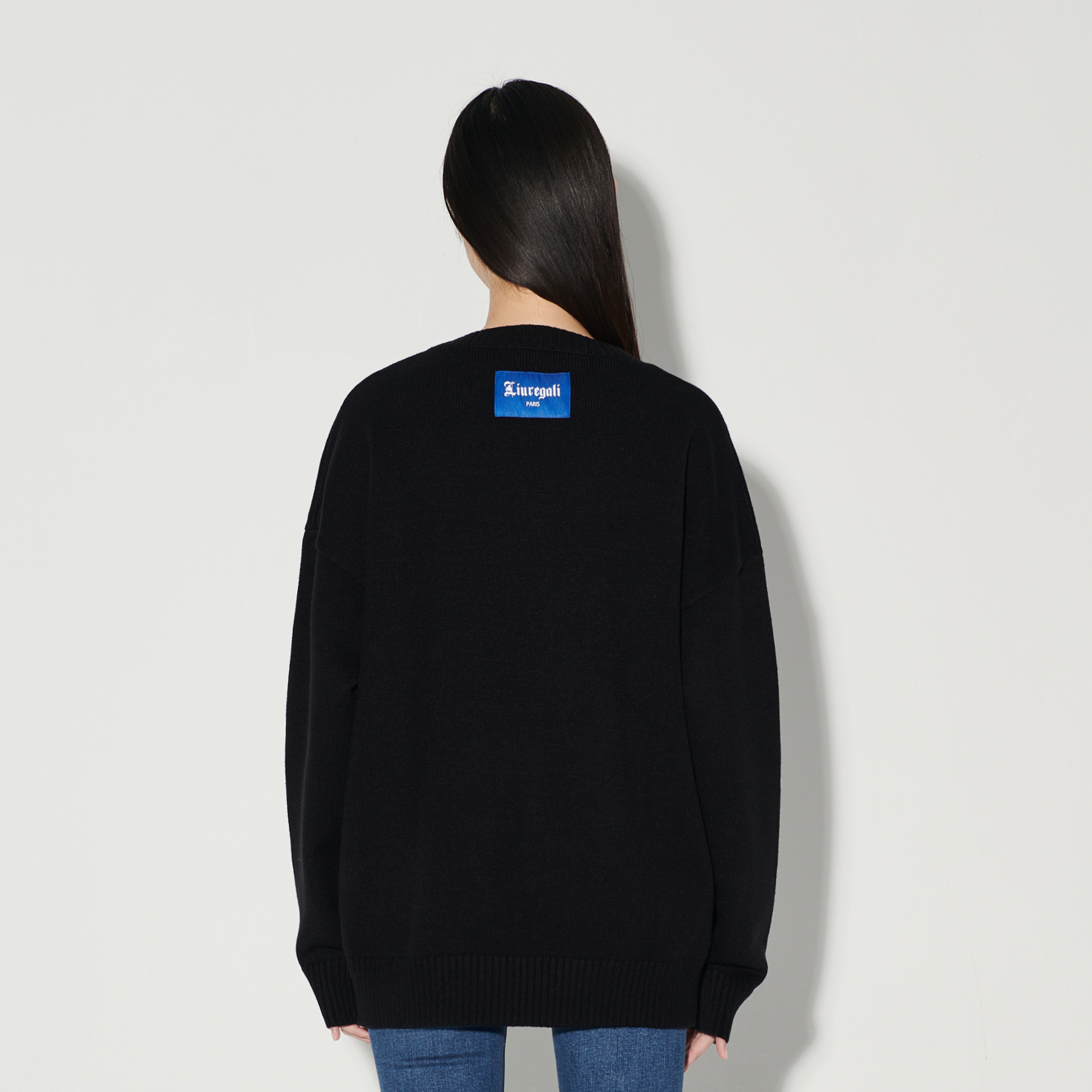 Liuregali Earth Jacquard Pattern Pullover In Black