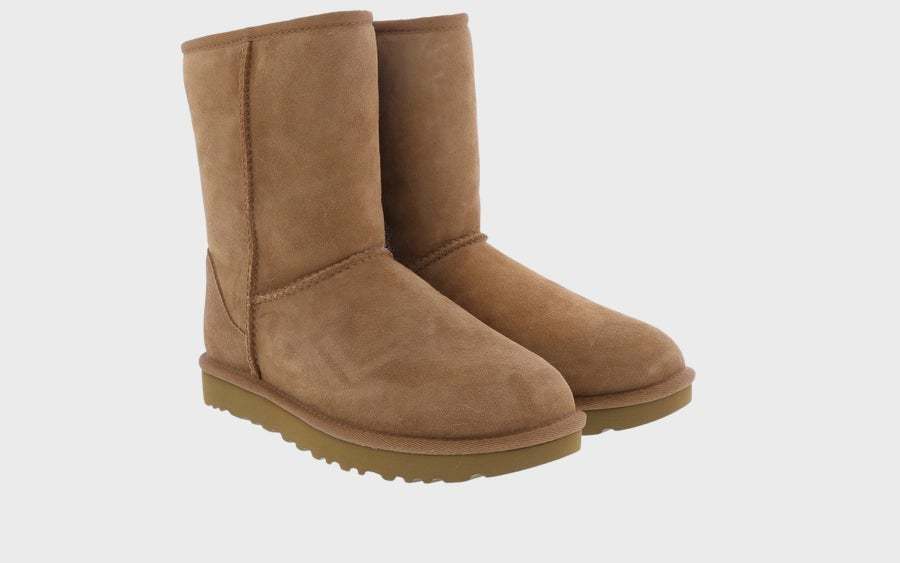 Ugg Logo Boots In Brown
