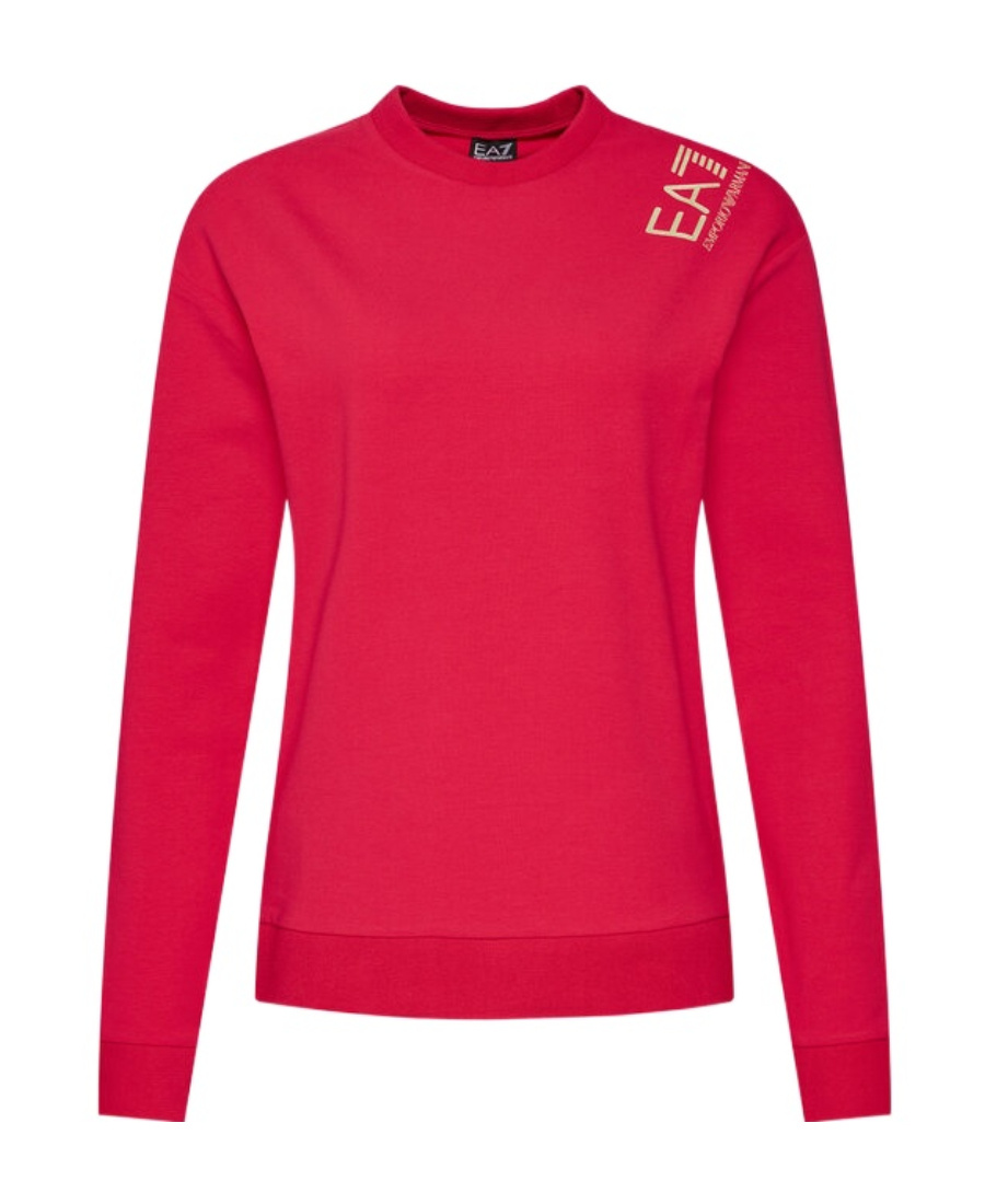 EA7 LOGO DETAILS HOODIE