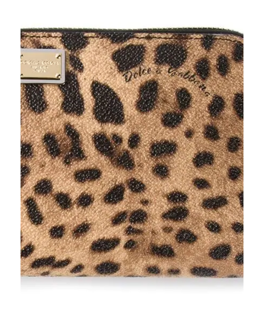 Dolce & Gabbana 'dauphine' Wallet In Multicolor