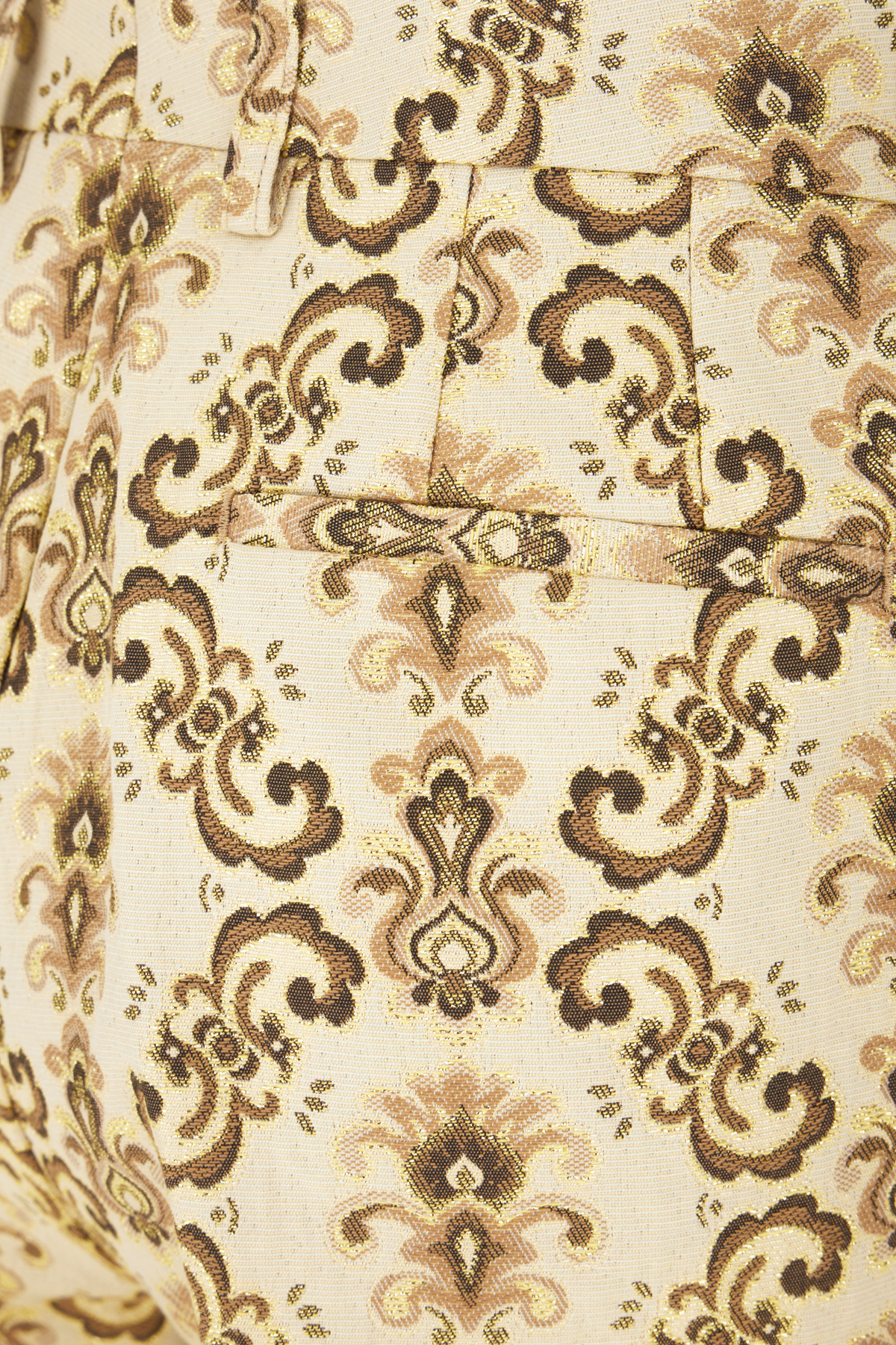 Etro Embroidered Pants In Polyester Blend In Nude
