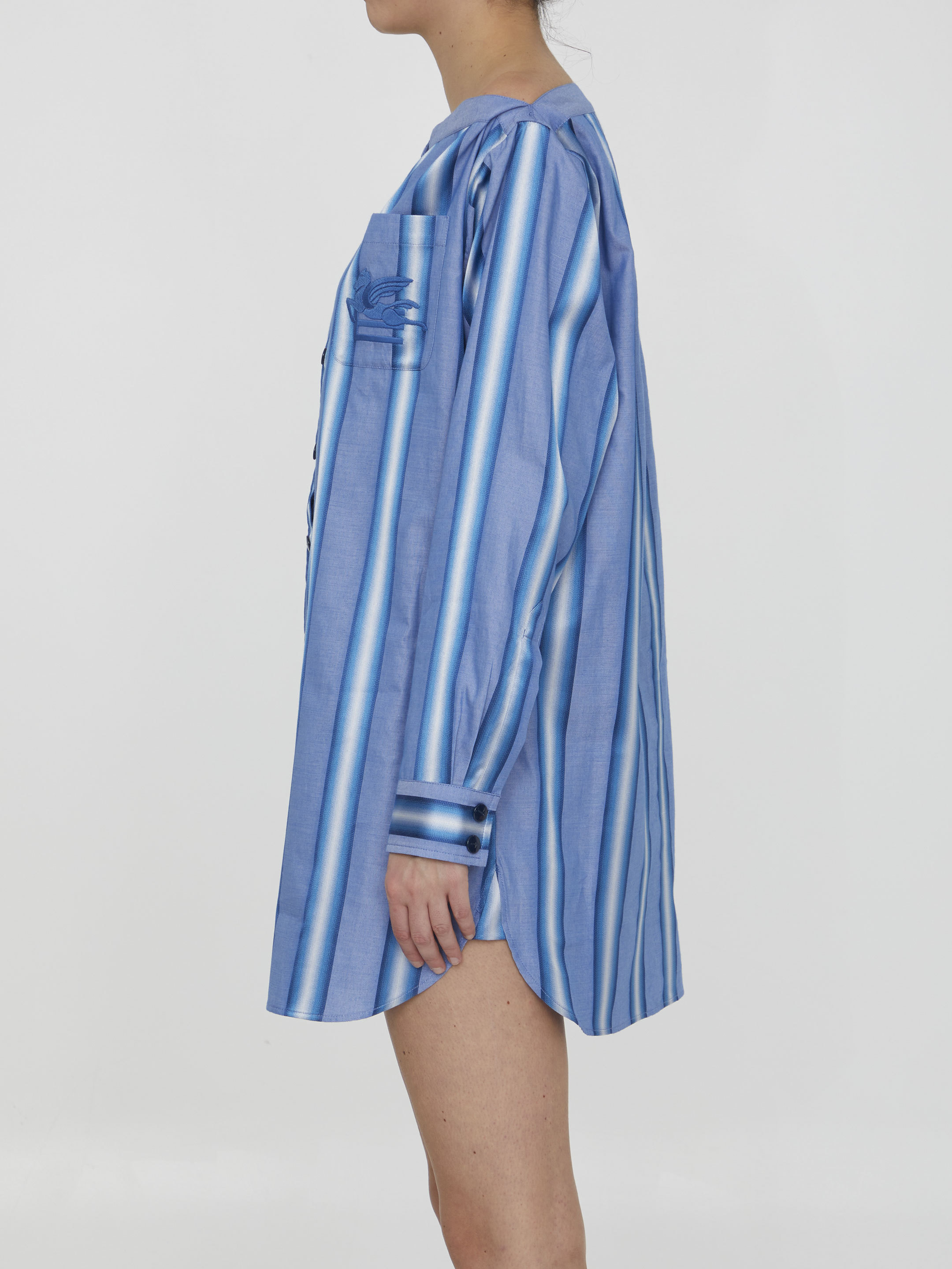 Etro Dresses In Blue