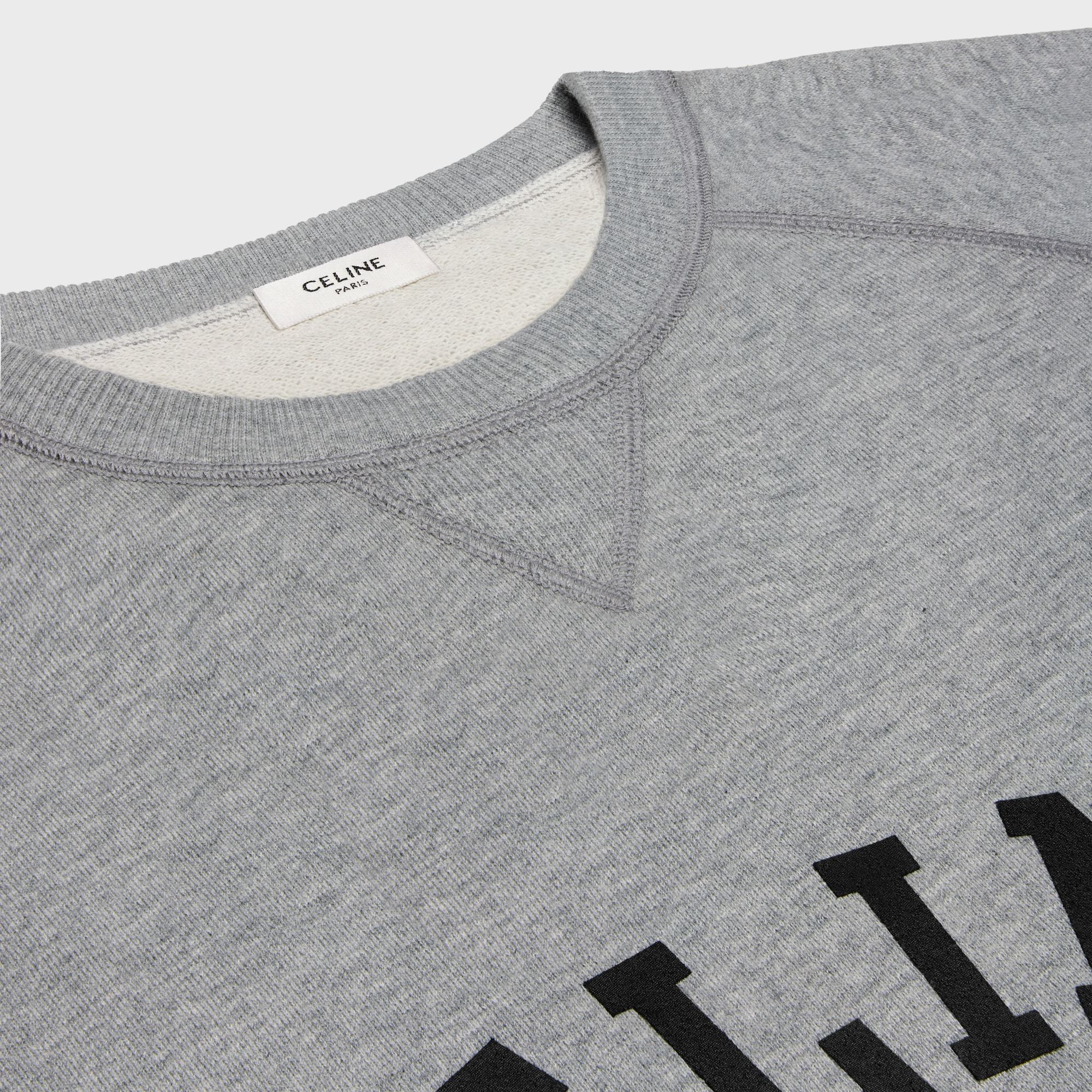 Celine Fleece Sweater In Gray