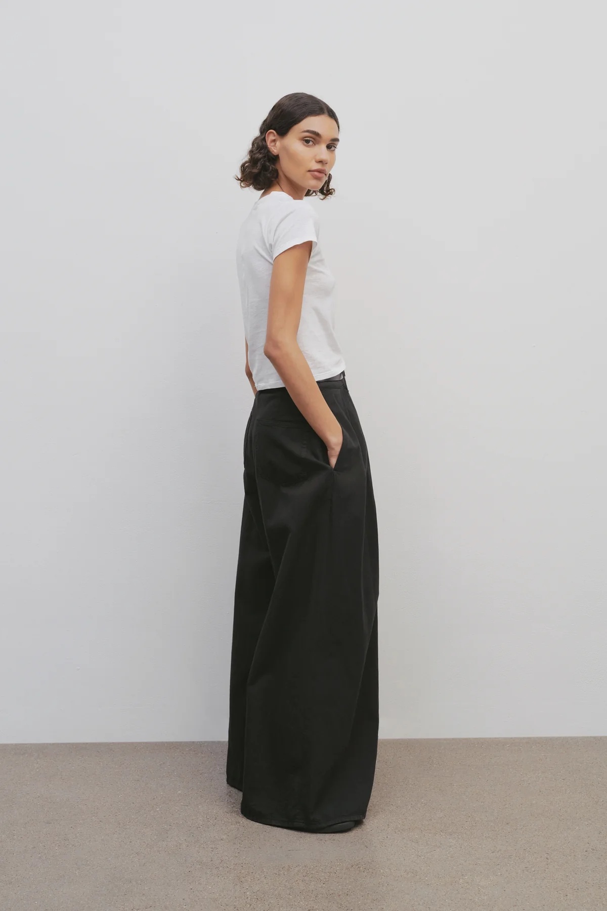 The Row Criselle Double Pleated Jeans In Black
