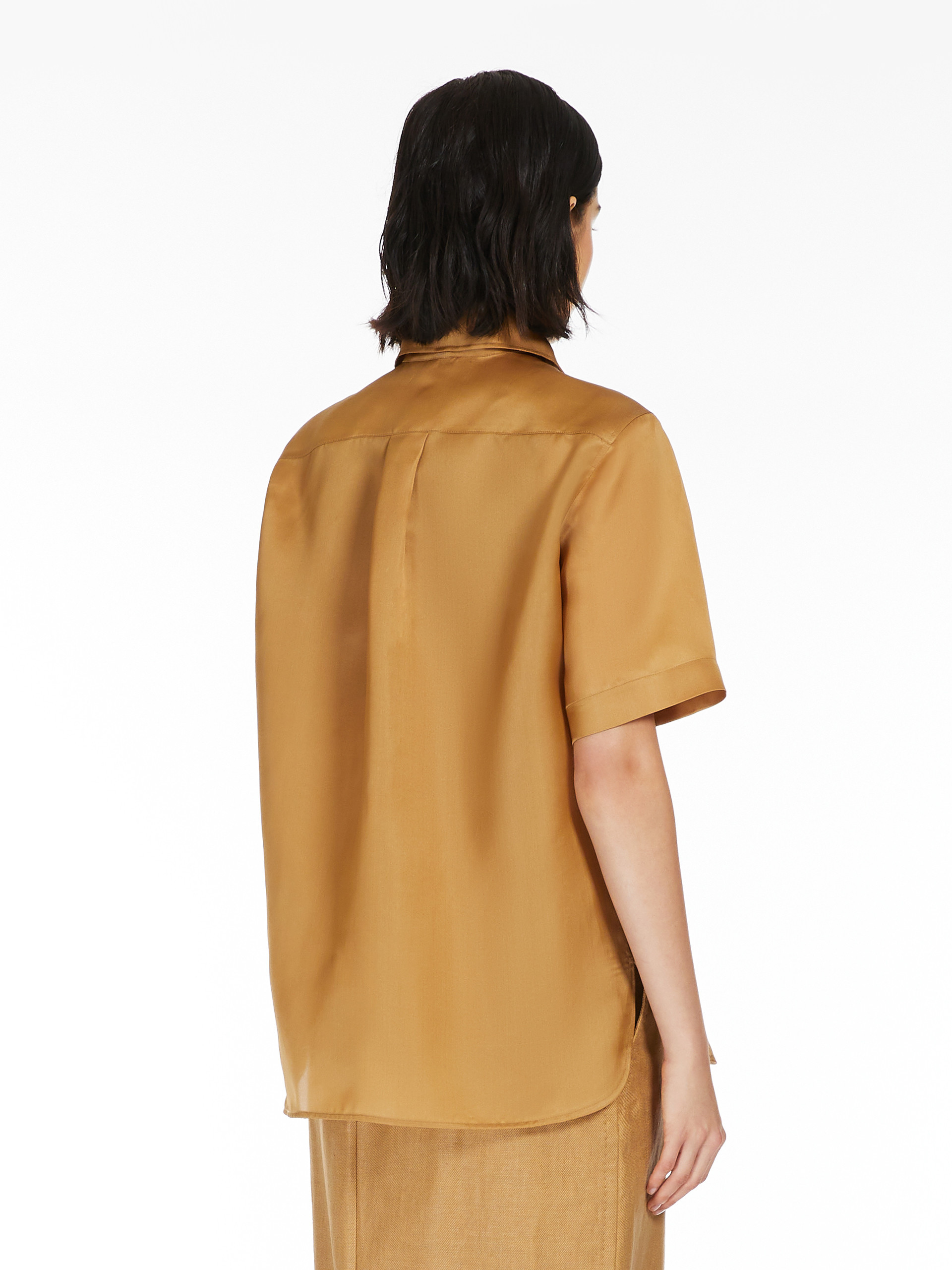 Max Mara Acanto Shirt In Brown